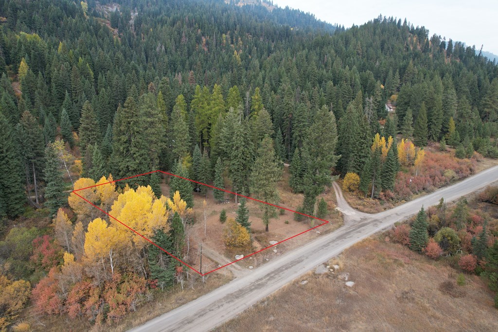 Wooded vacant lot outlined in red beside a gravel road, surrounded by autumn trees.