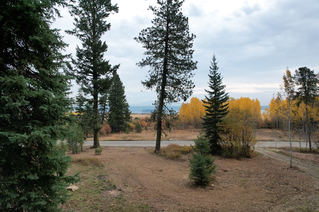 Vacant wooded lot with a dirt driveway, golden autumn trees, and distant mountains.