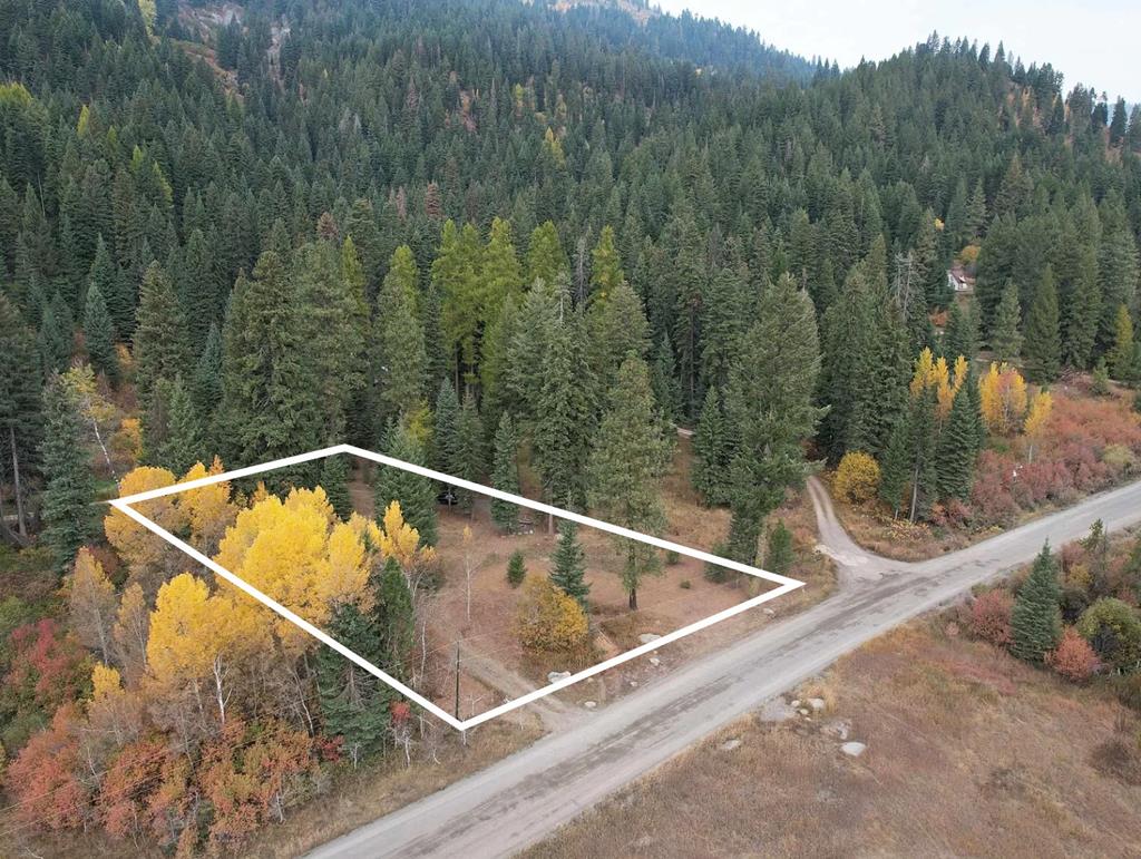 Wooded vacant lot outlined in white beside a gravel road, with forested mountain slopes beyond.