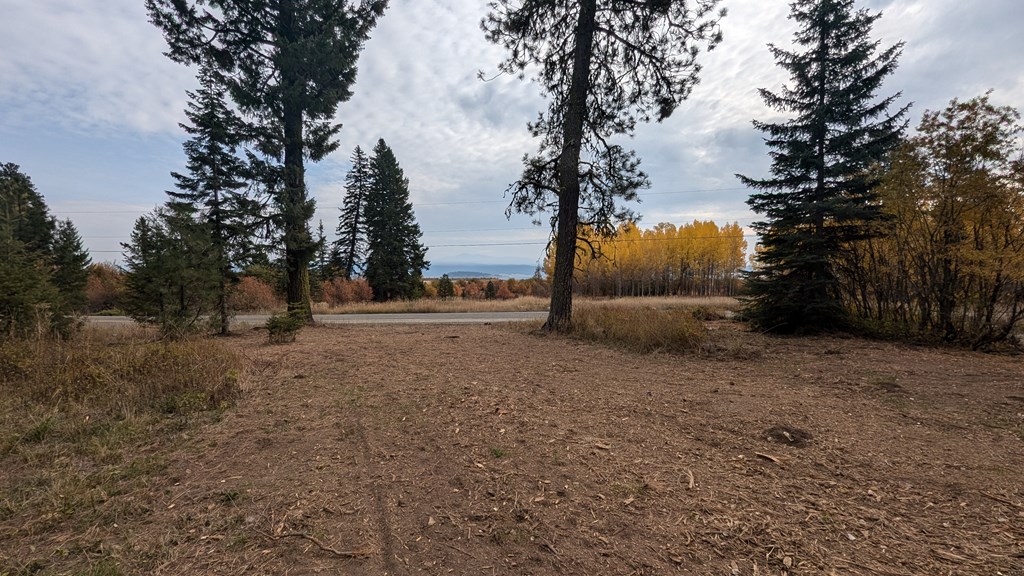 Cleared dirt lot framed by evergreens and golden autumn trees, with a road beyond.