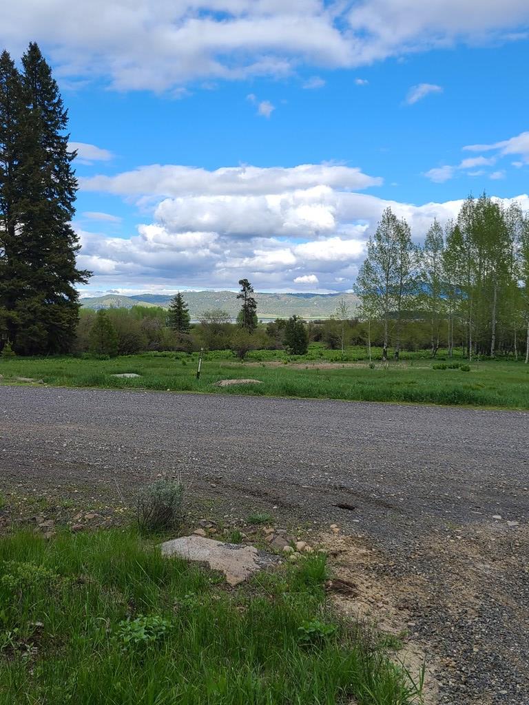 Grassy vacant lot beside a gravel road, with trees and distant mountain views.