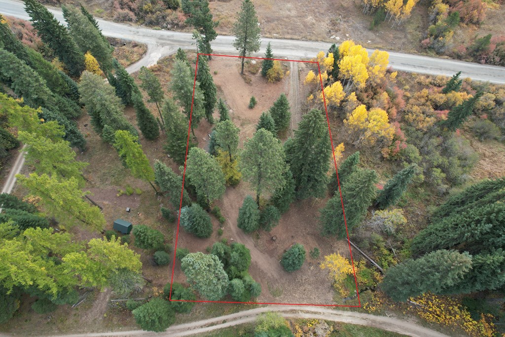 Wooded vacant lot outlined in red, with a dirt track and roads along its edges.