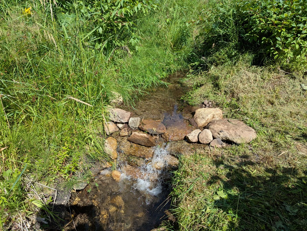 Shallow rocky creek winding through dense green vegetation on an undeveloped lot.