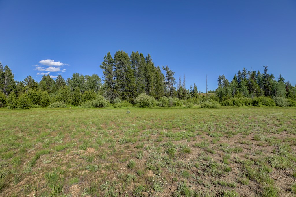 LOT 64 River Run Court # 64, McCall Unit: 64