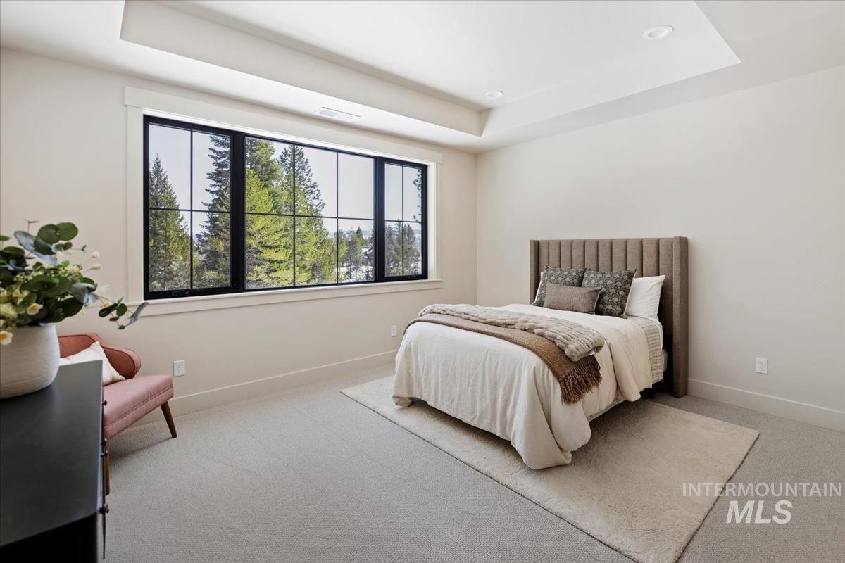 71 Ponderosa Ridge Court