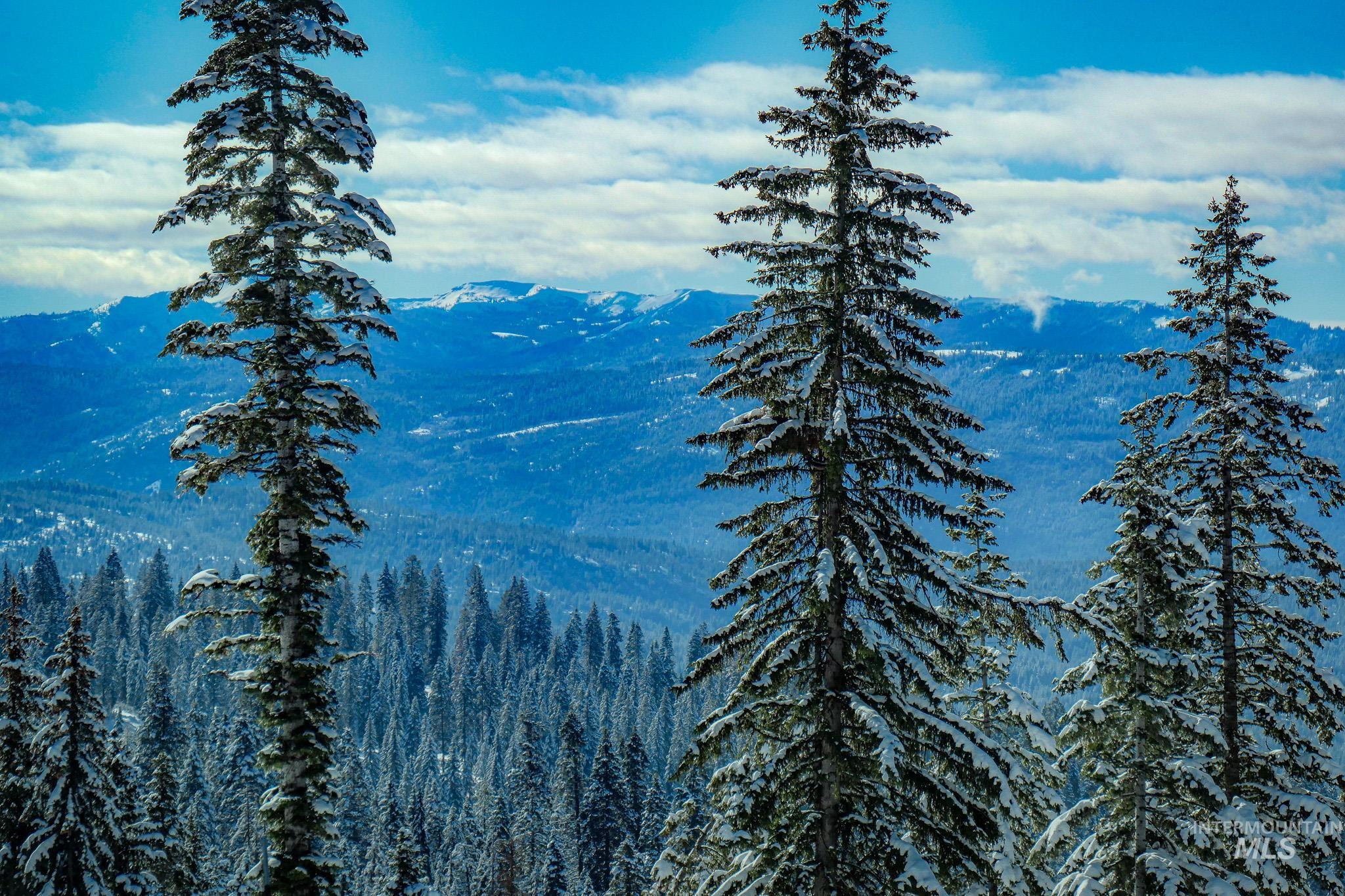 Lot4 TBD North Loop Road