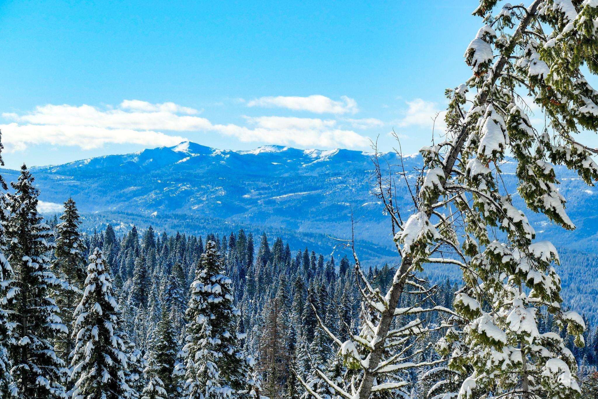 Lot4 TBD North Loop Road