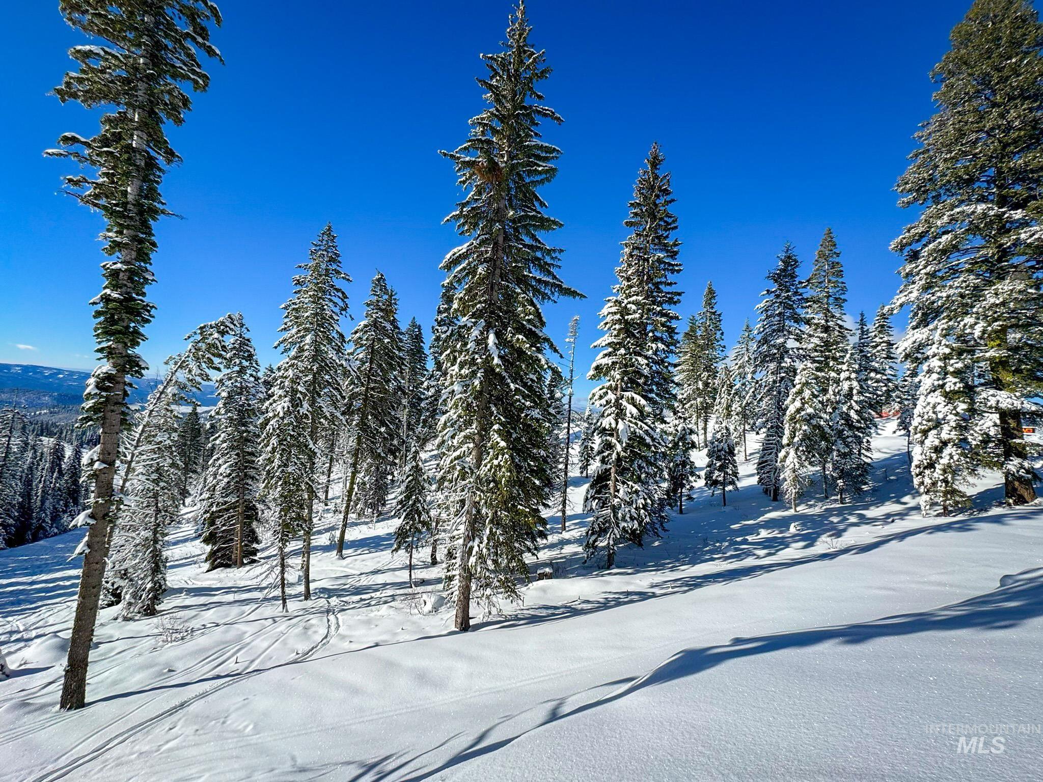 Lot4 TBD North Loop Road