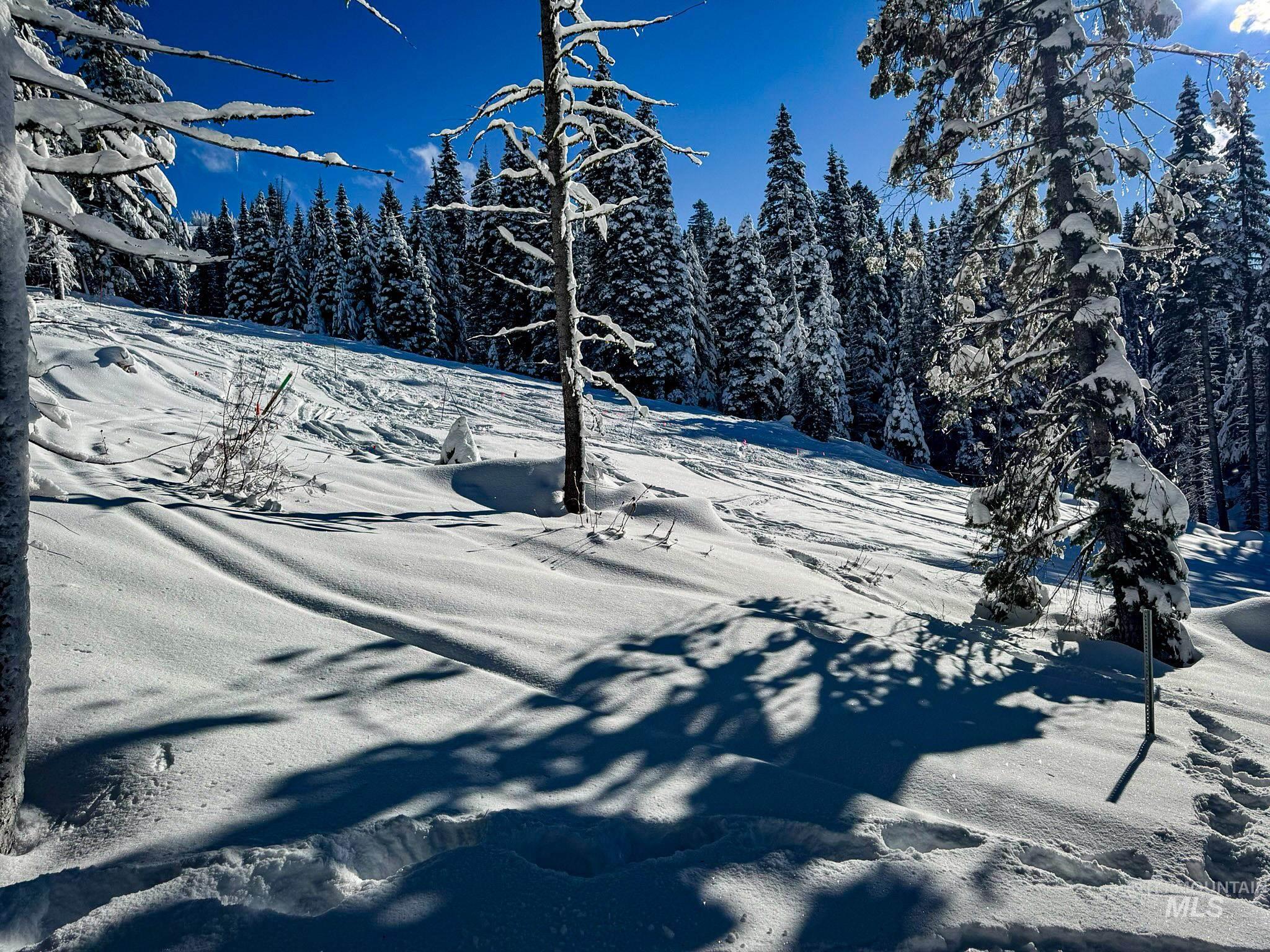 Lot4 TBD North Loop Road