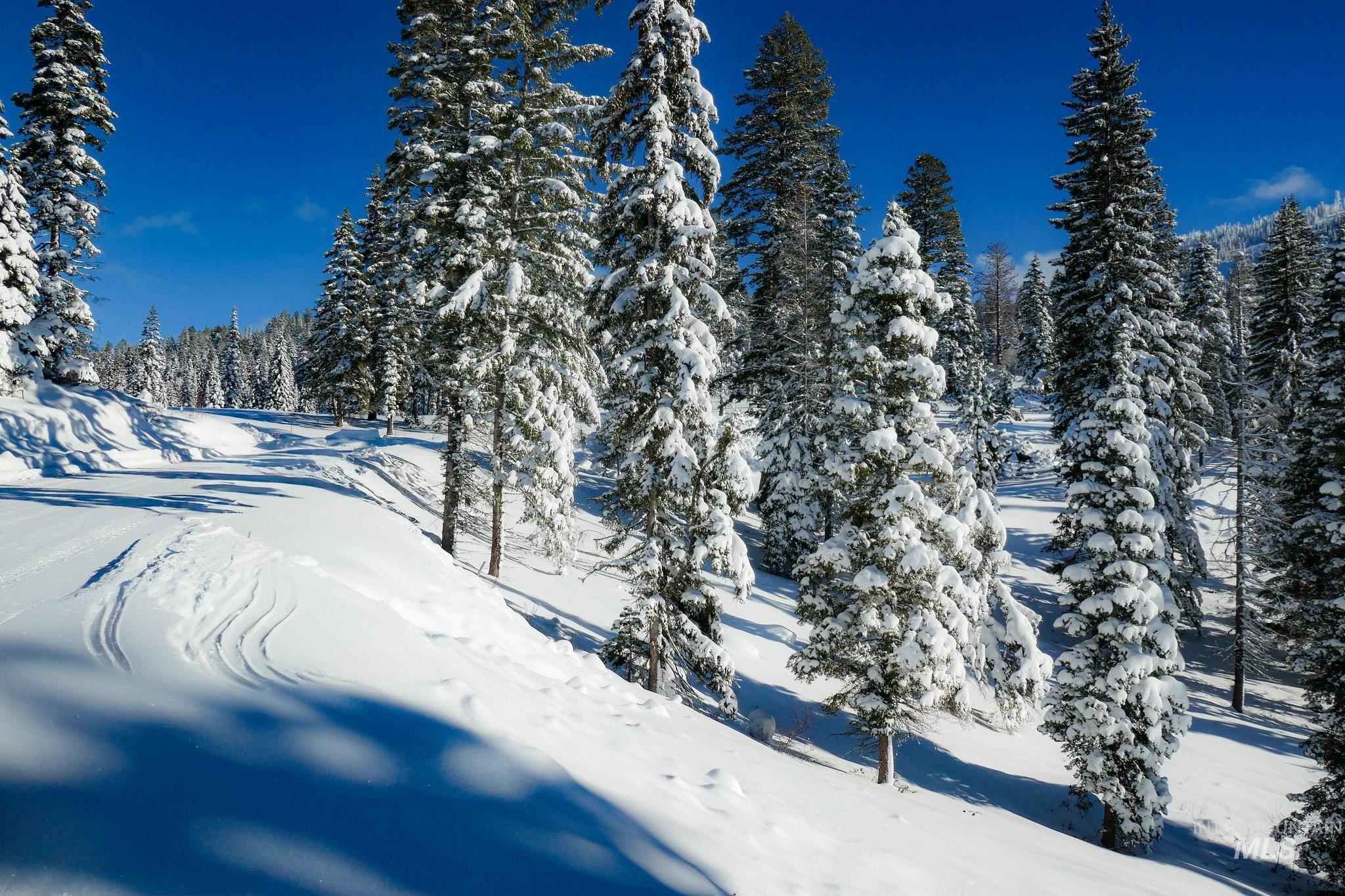 Lot4 TBD North Loop Road