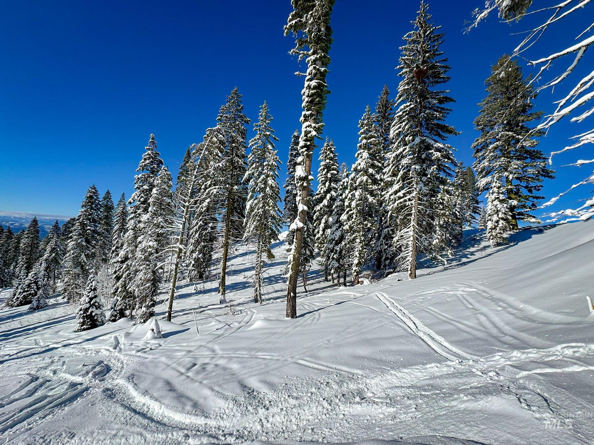 Lot4 TBD North Loop Road