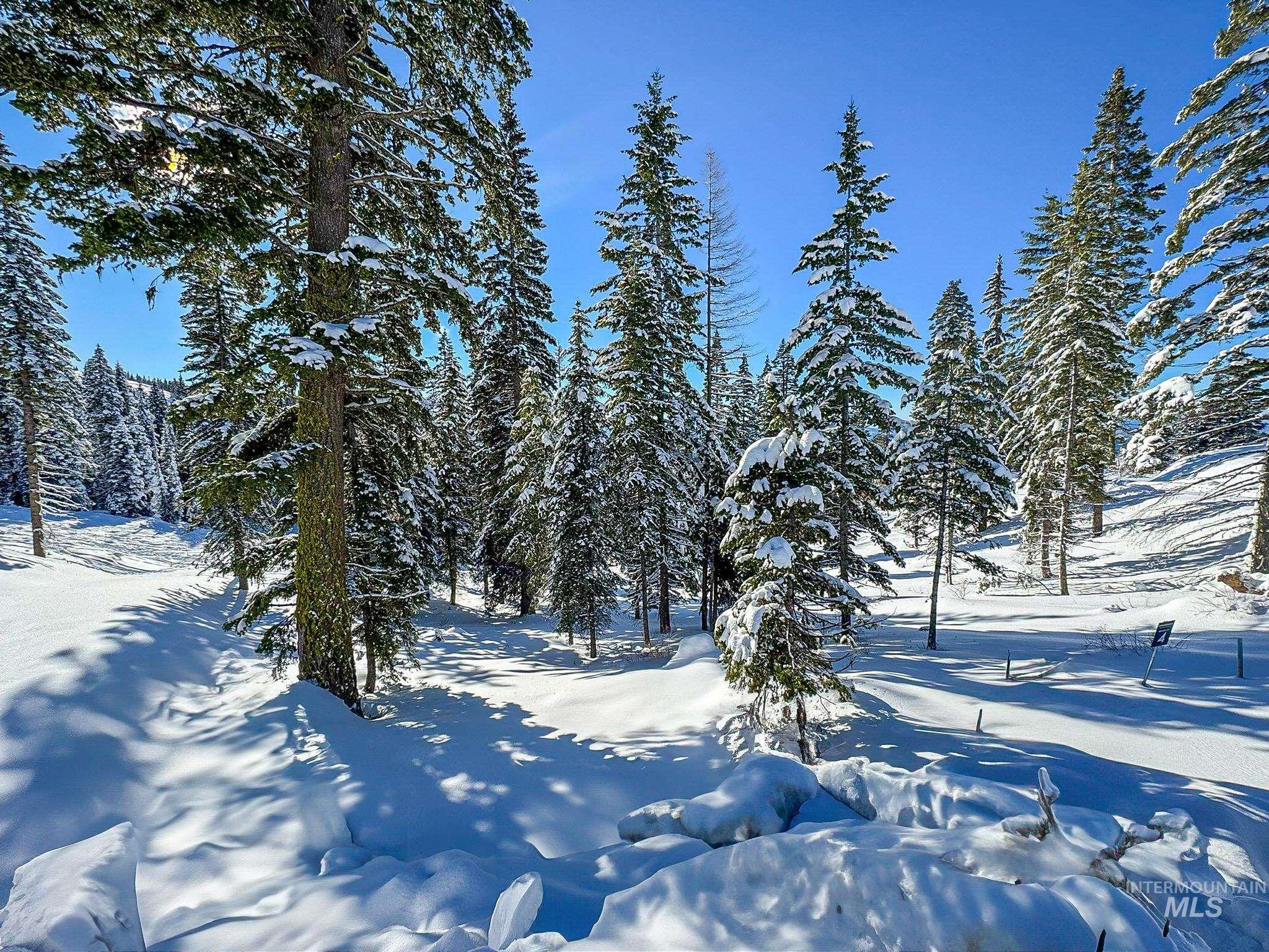 Lot4 TBD North Loop Road