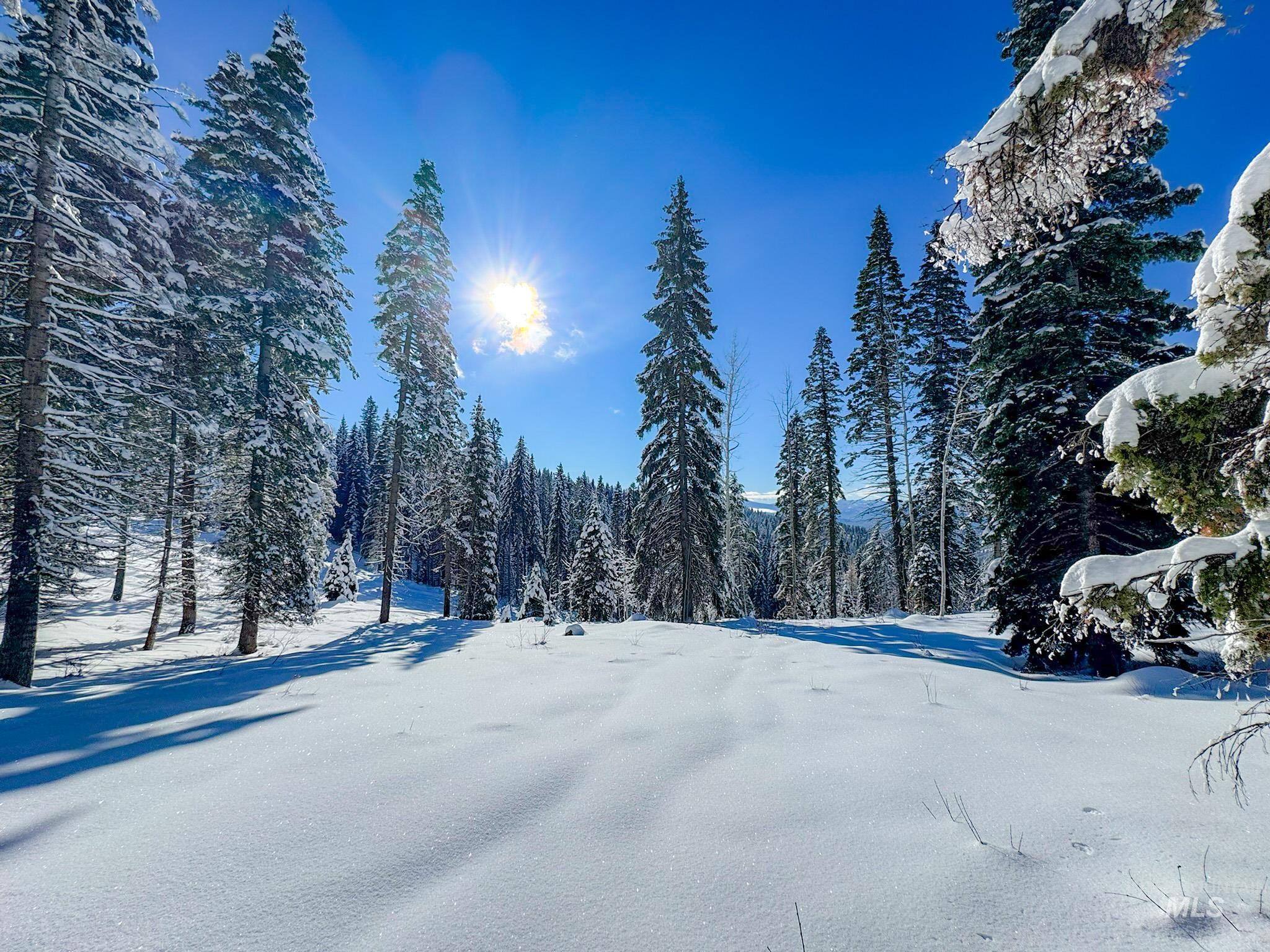 Lot4 TBD North Loop Road