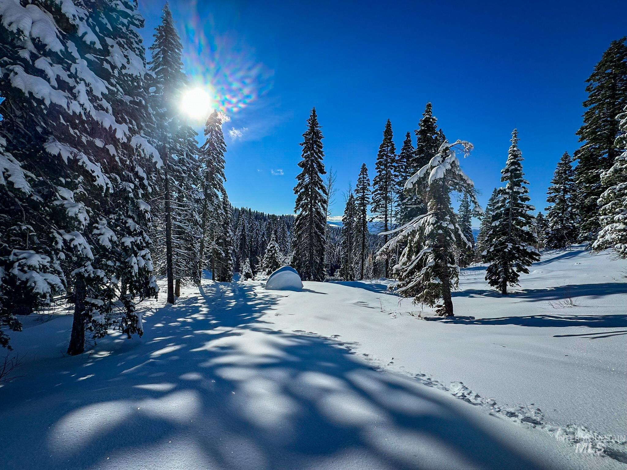 Lot4 TBD North Loop Road