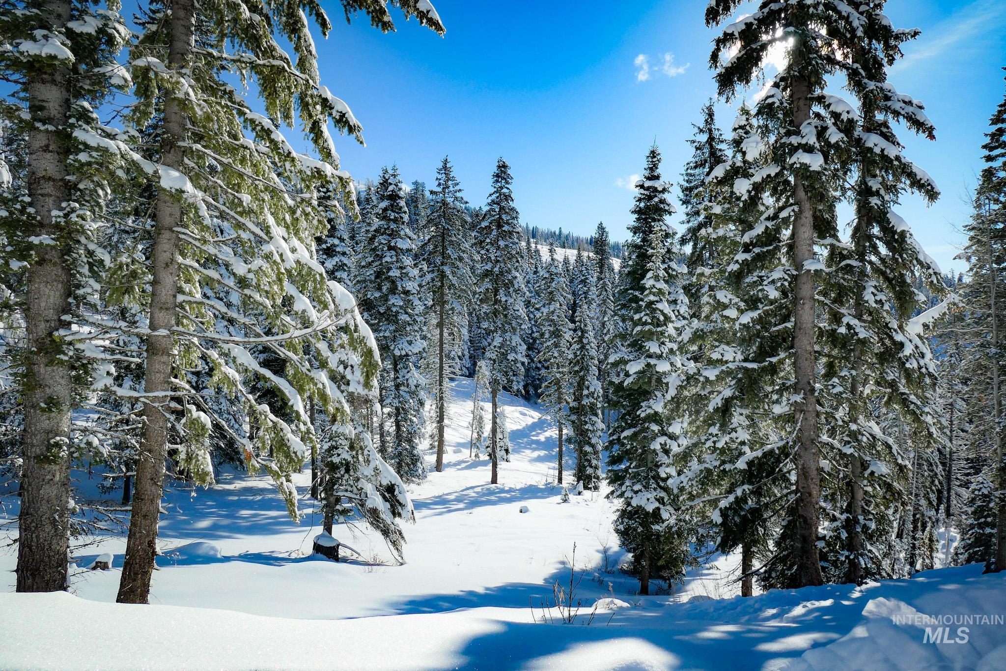 Lot4 TBD North Loop Road