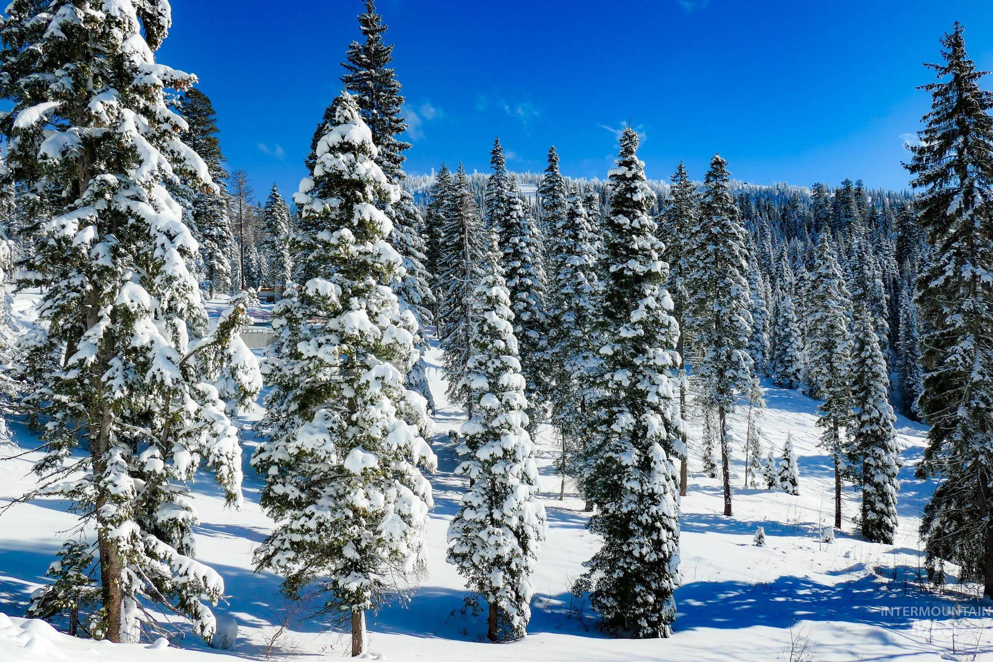 Lot4 TBD North Loop Road