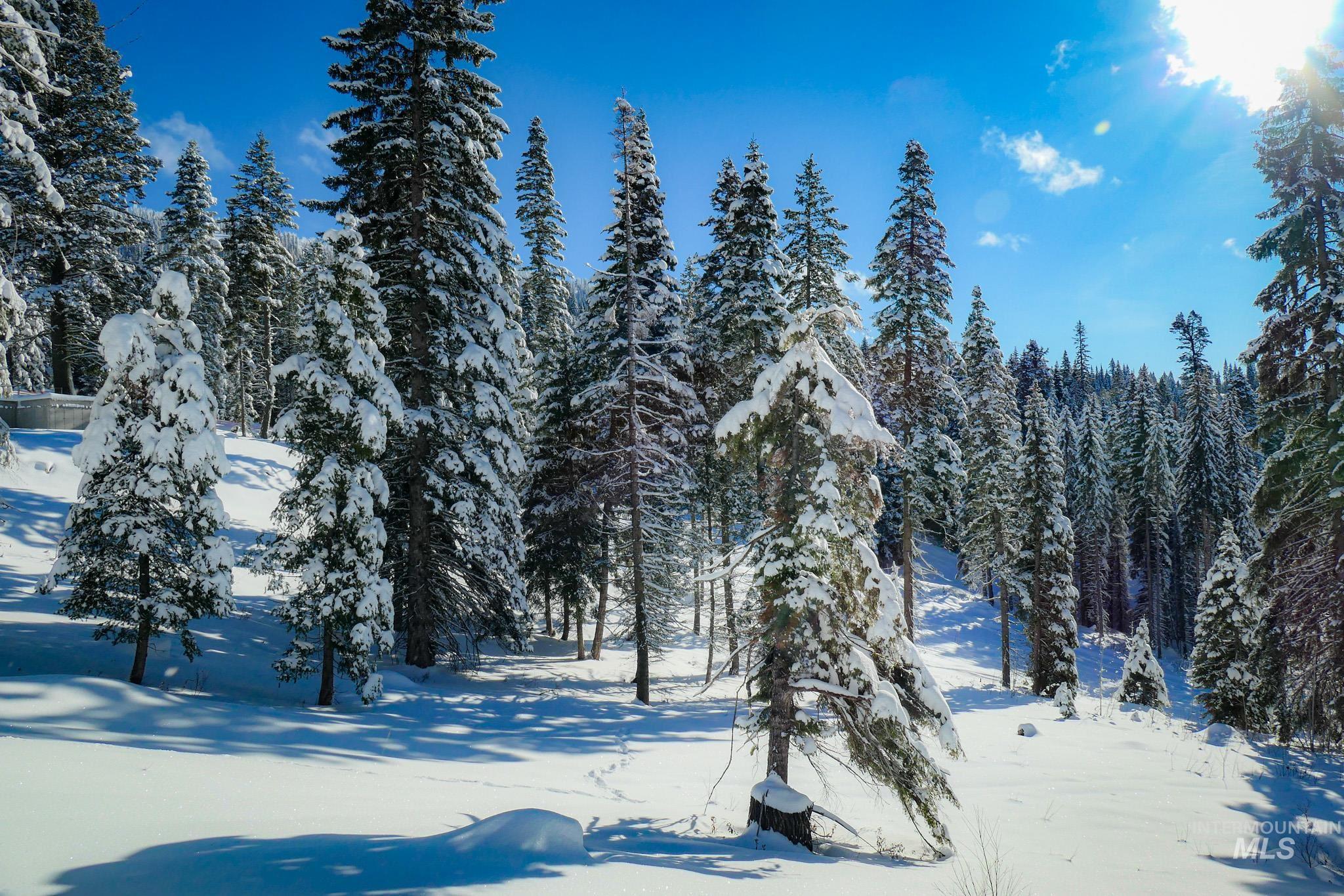 Lot4 TBD North Loop Road