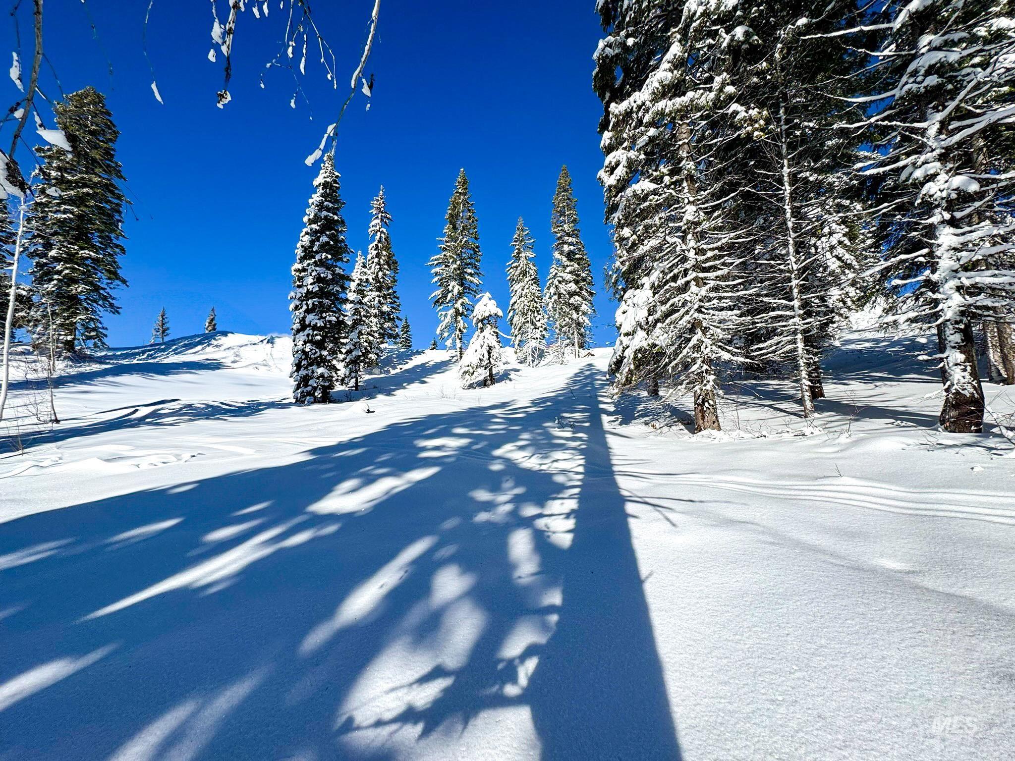 Lot4 TBD North Loop Road