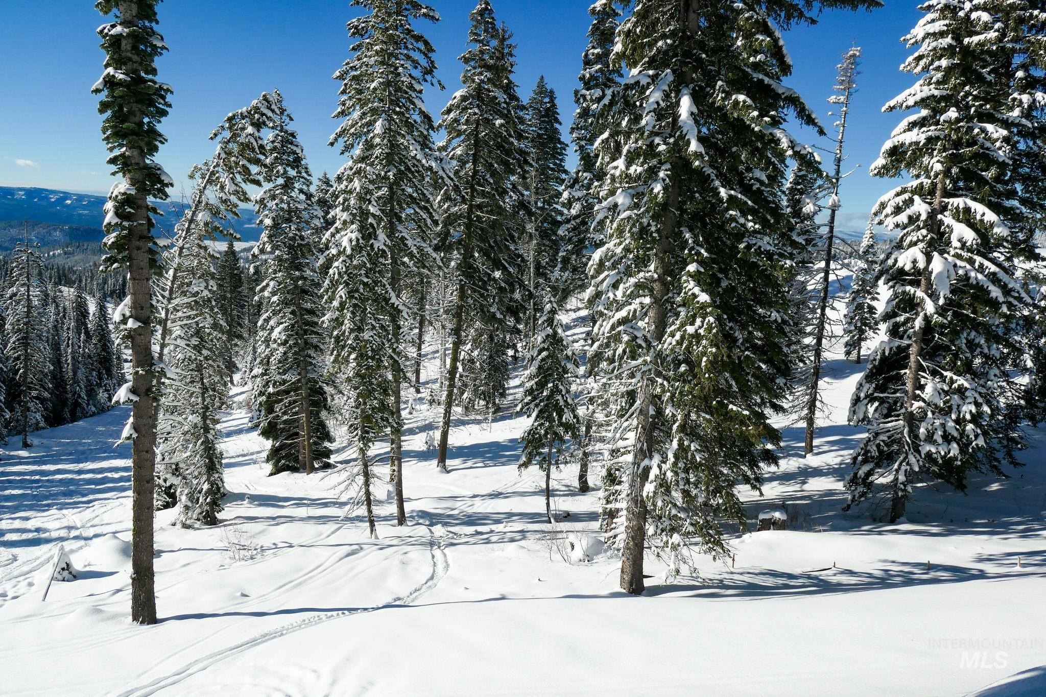 Lot4 TBD North Loop Road