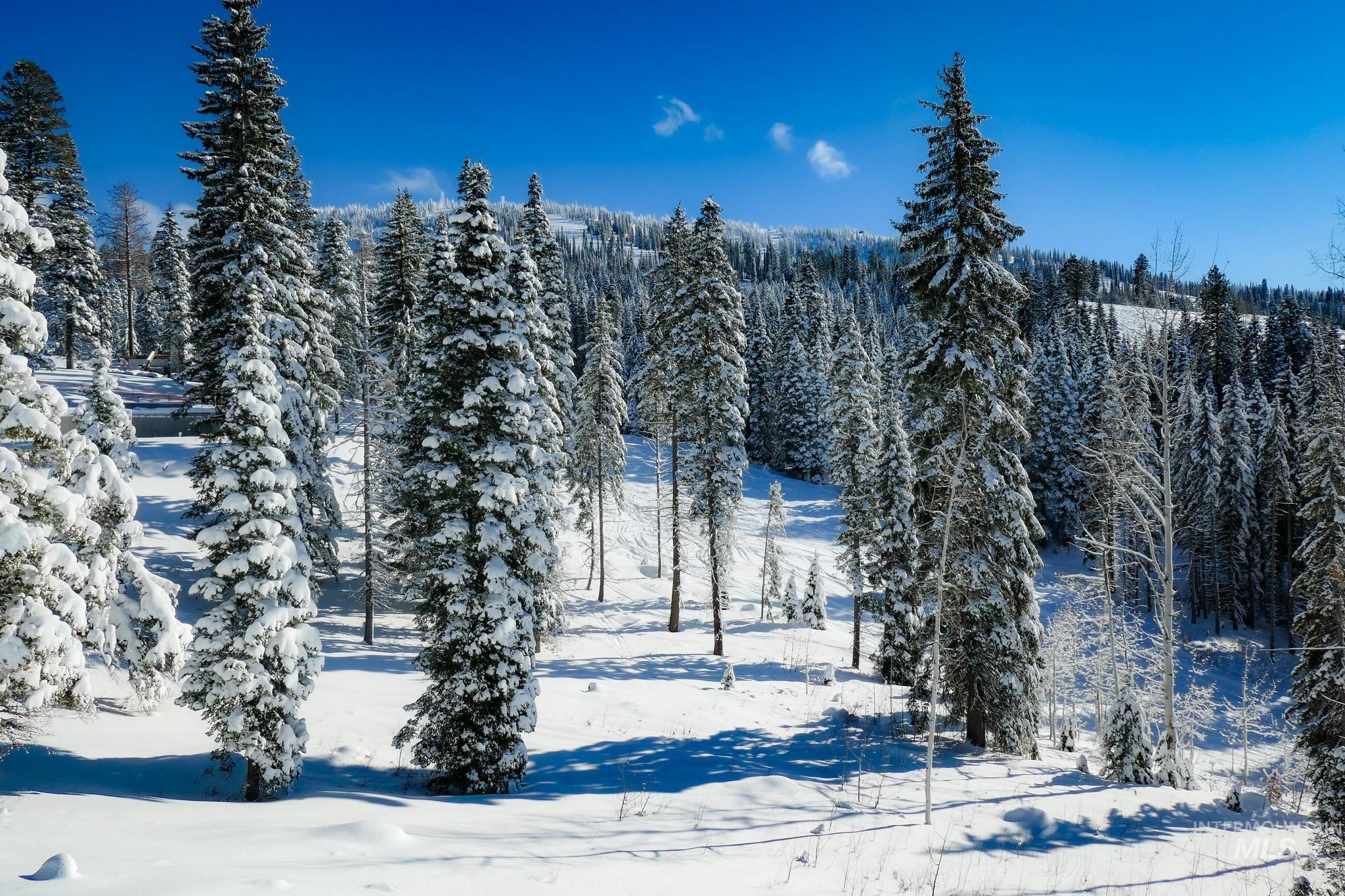 Lot4 TBD North Loop Road