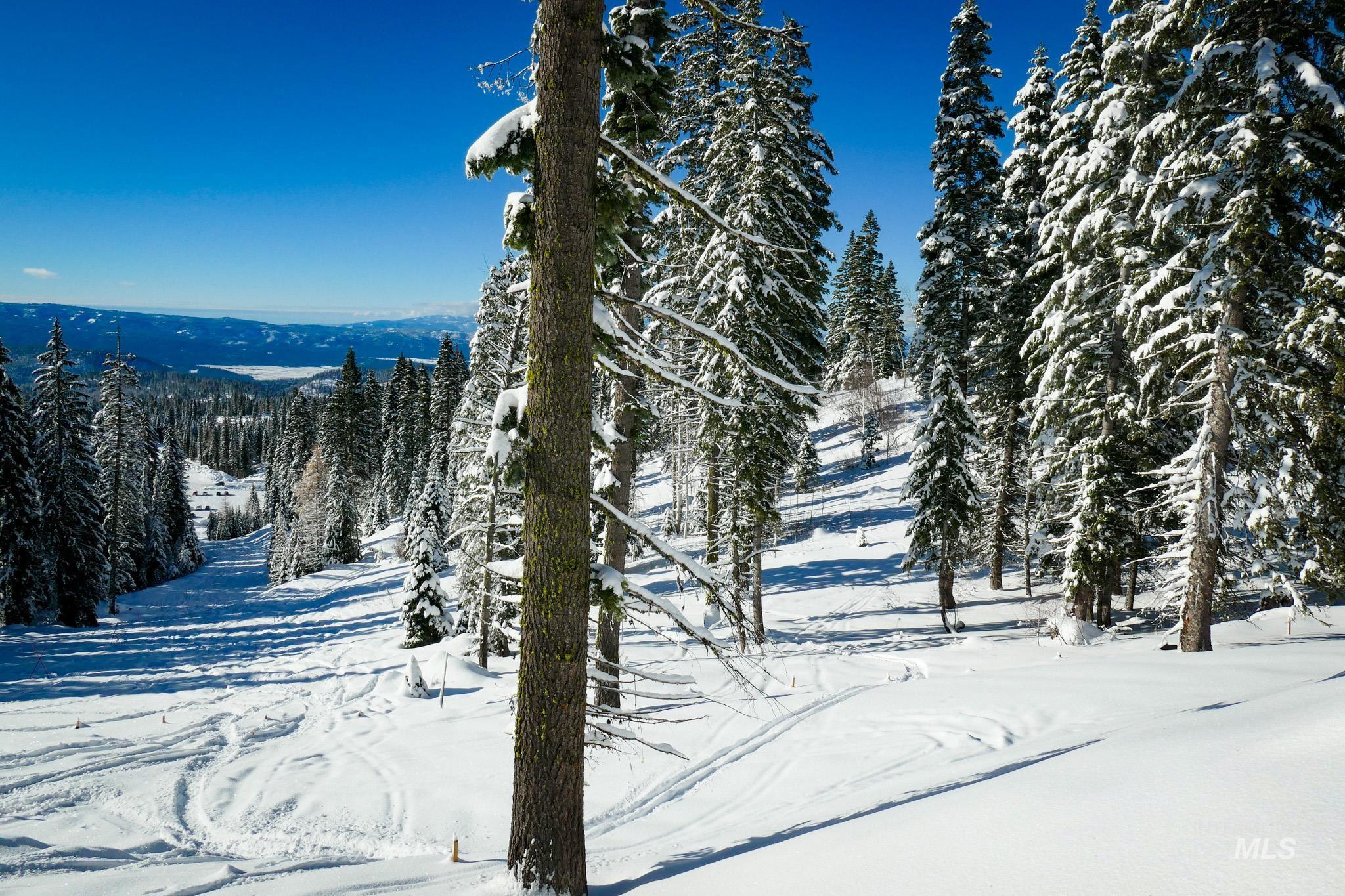 Lot4 TBD North Loop Road