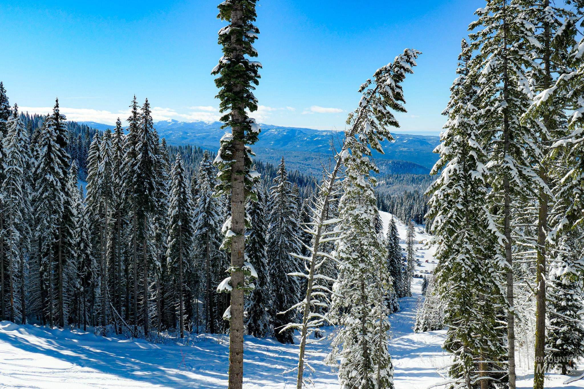 Lot4 TBD North Loop Road