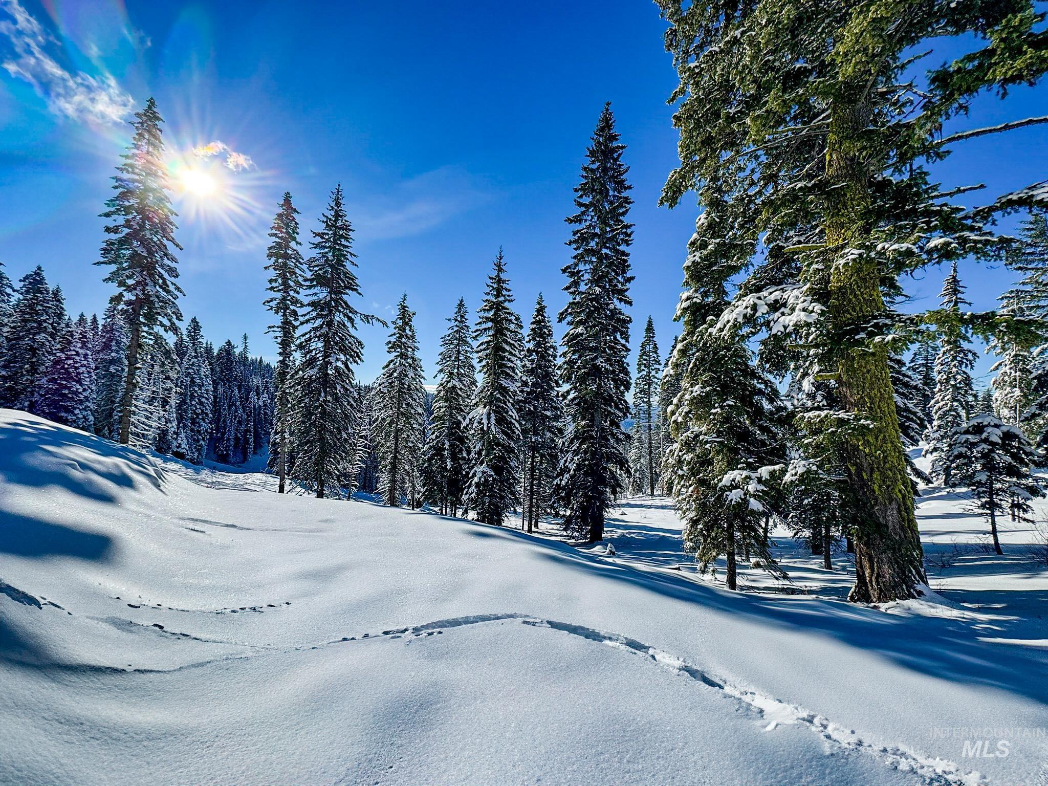 Lot4 TBD North Loop Road