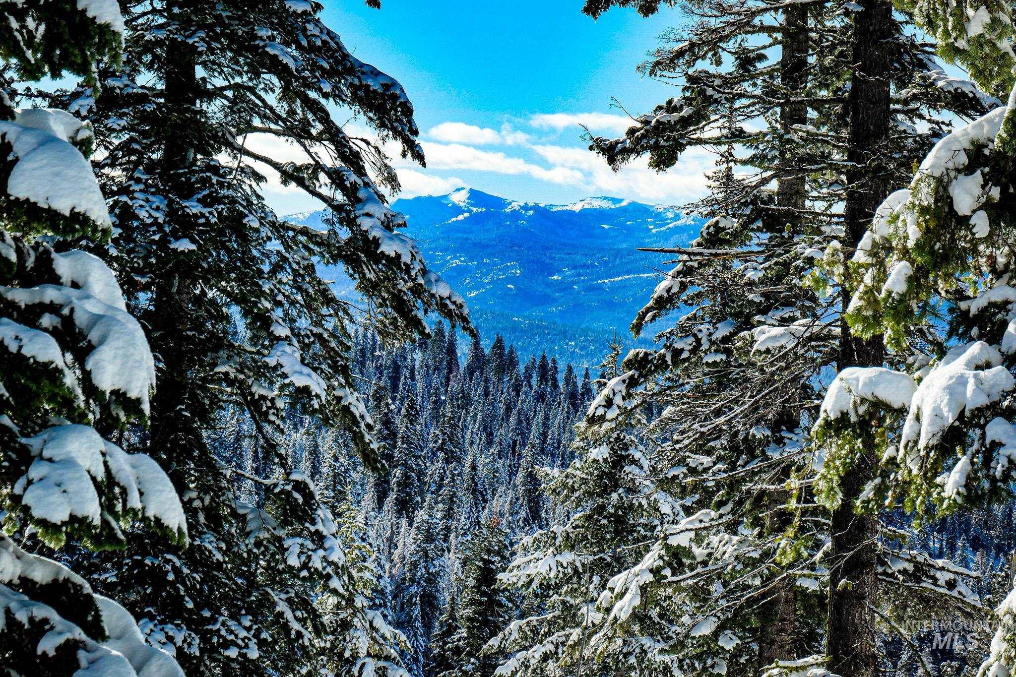 Lot4 TBD North Loop Road