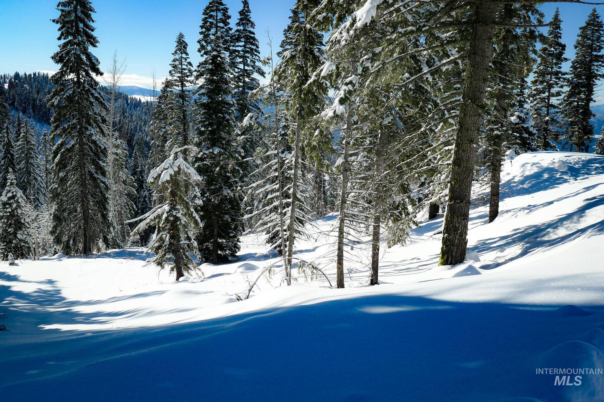 Lot4 TBD North Loop Road