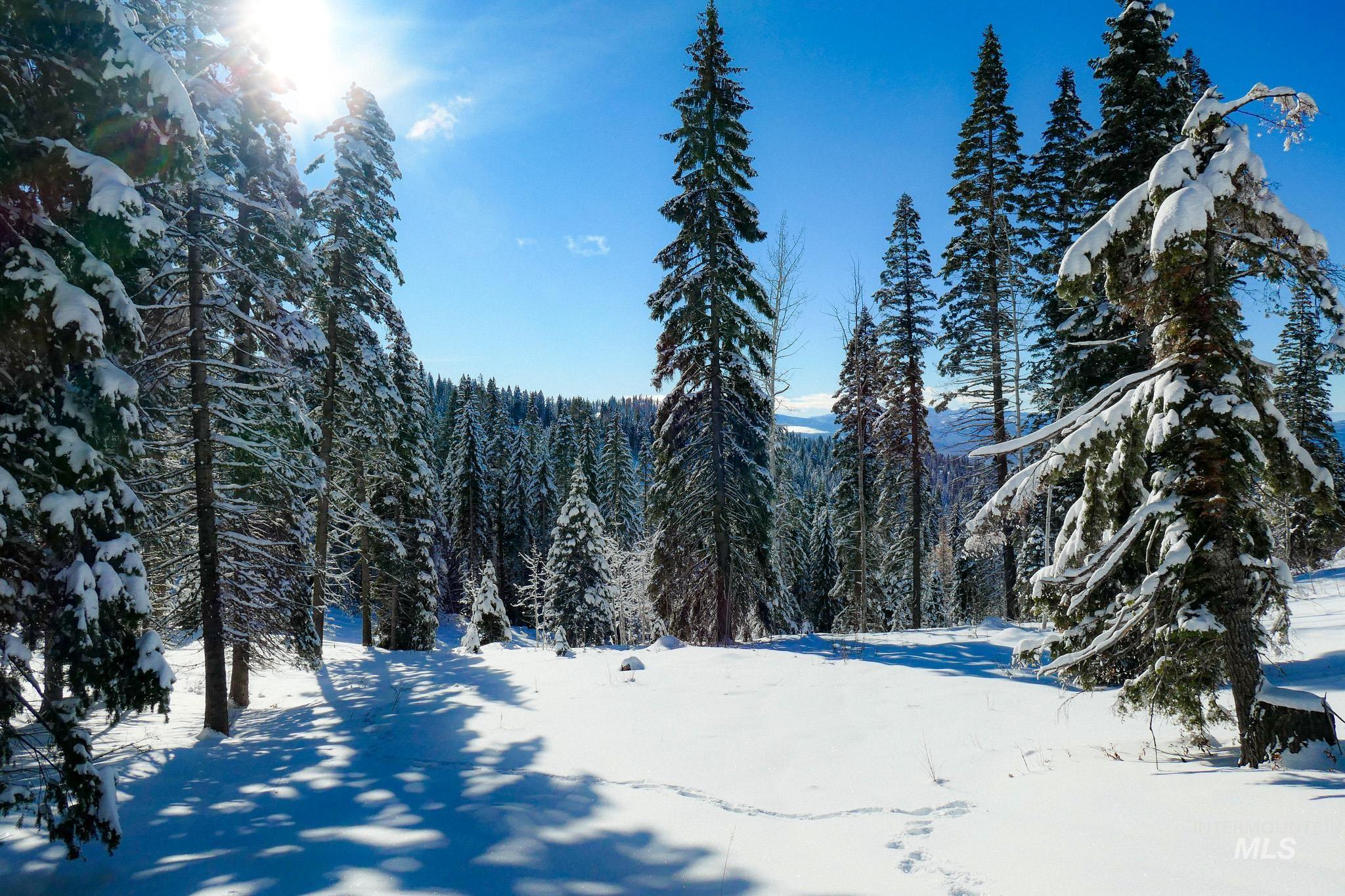 Lot4 TBD North Loop Road