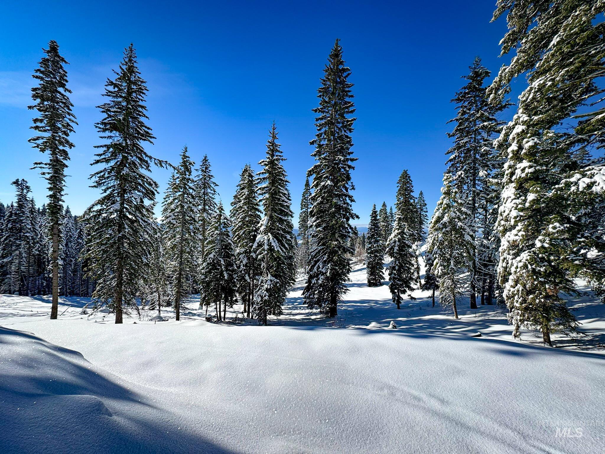 Lot4 TBD North Loop Road