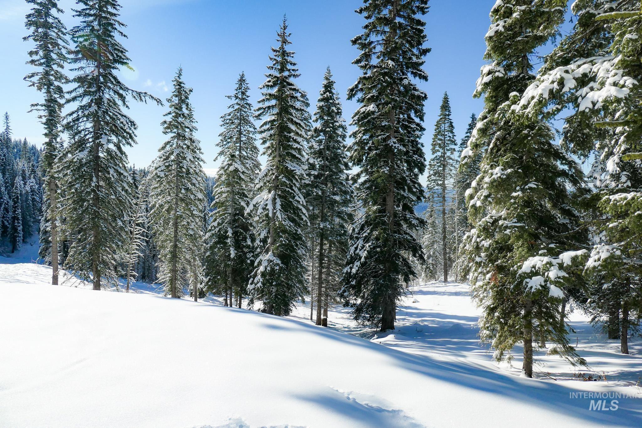 Lot4 TBD North Loop Road