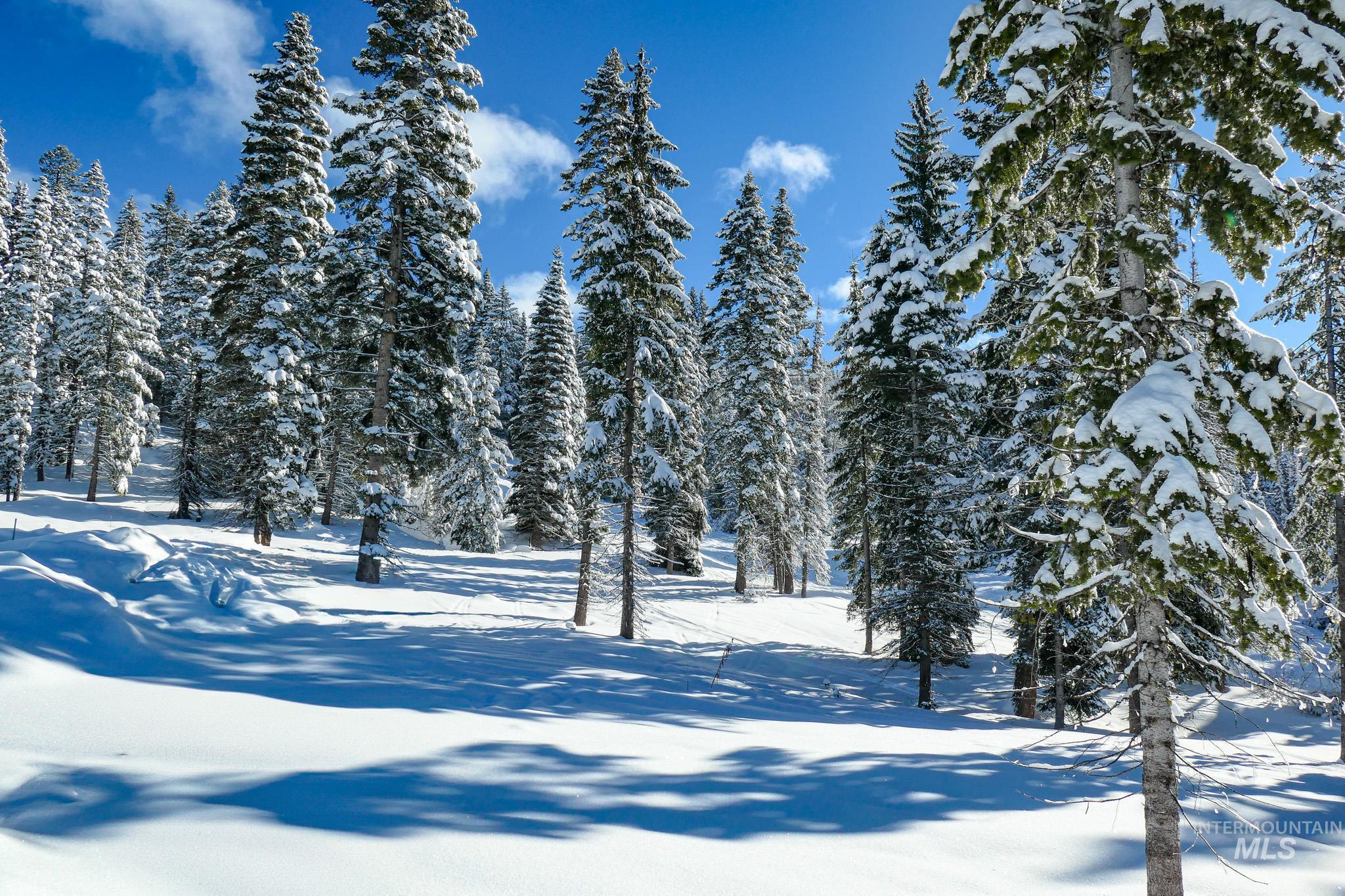 Lot9 TBD North Loop Road