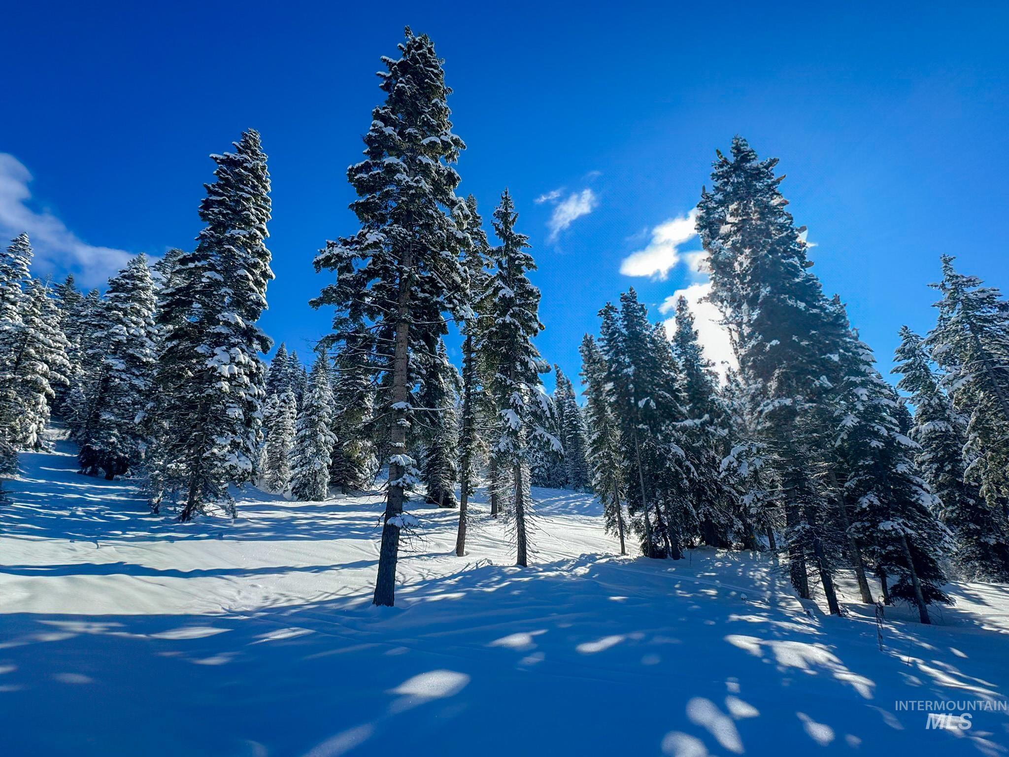 Lot9 TBD North Loop Road