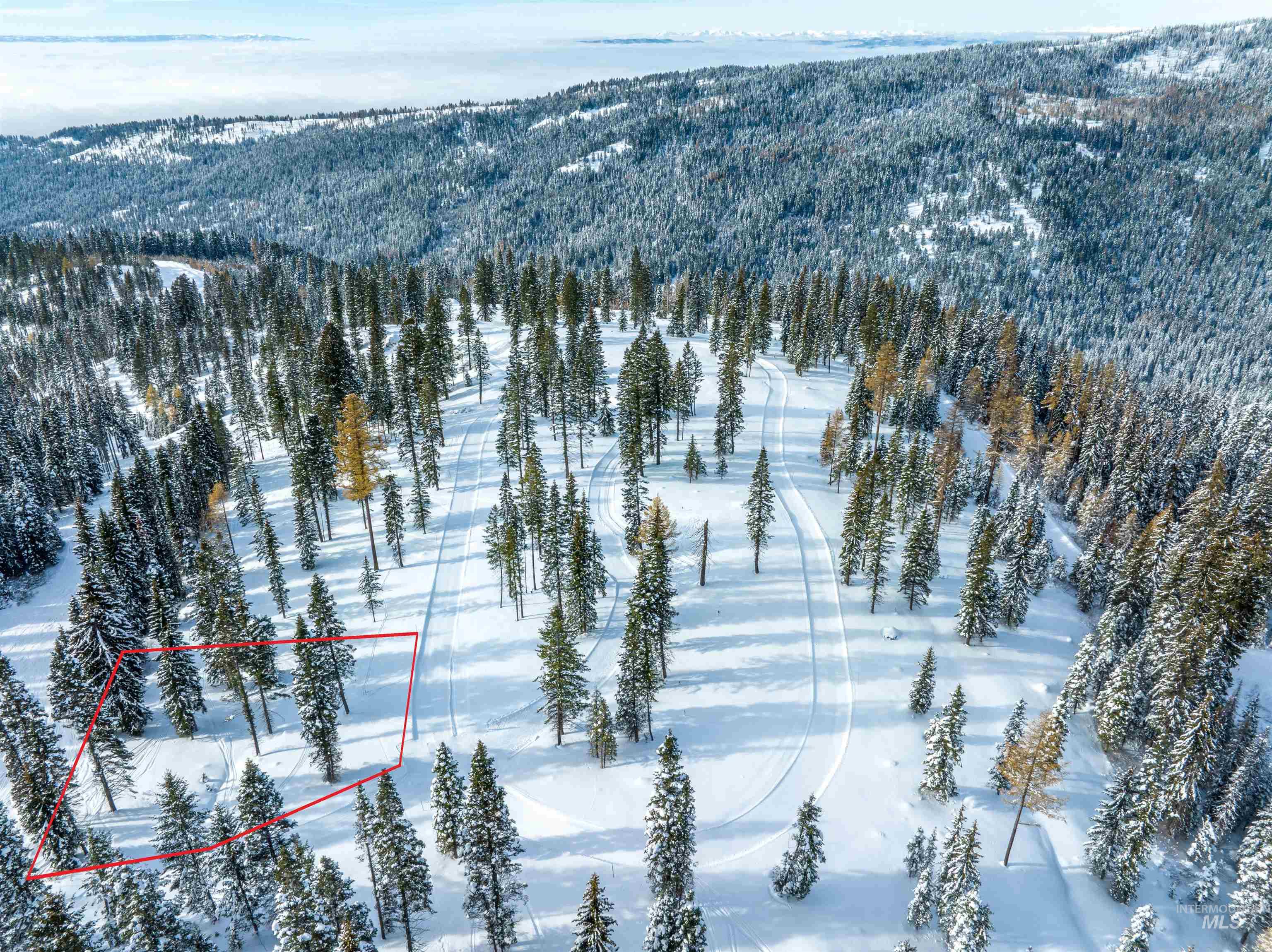 Lot9 TBD North Loop Road