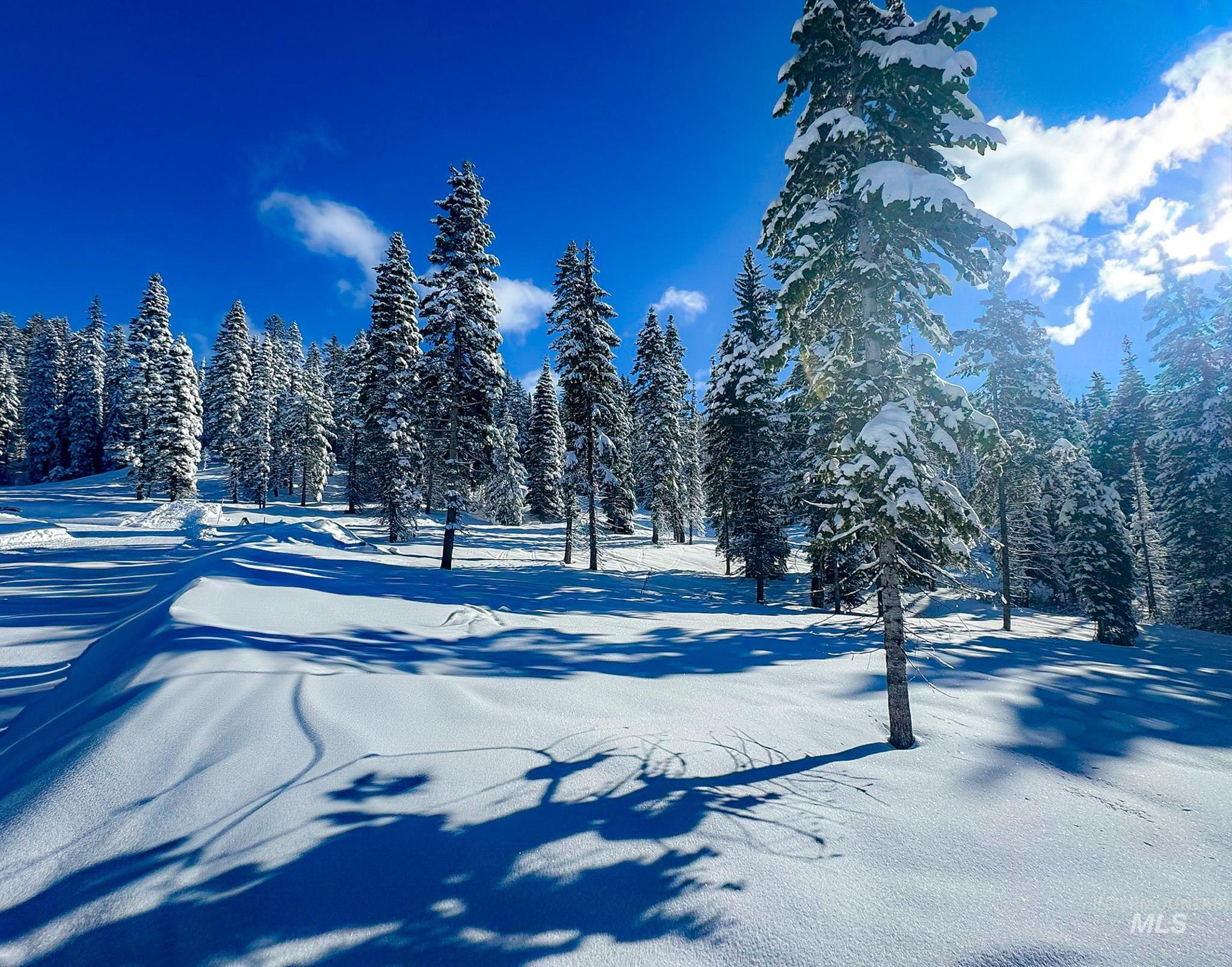 Lot9 TBD North Loop Road