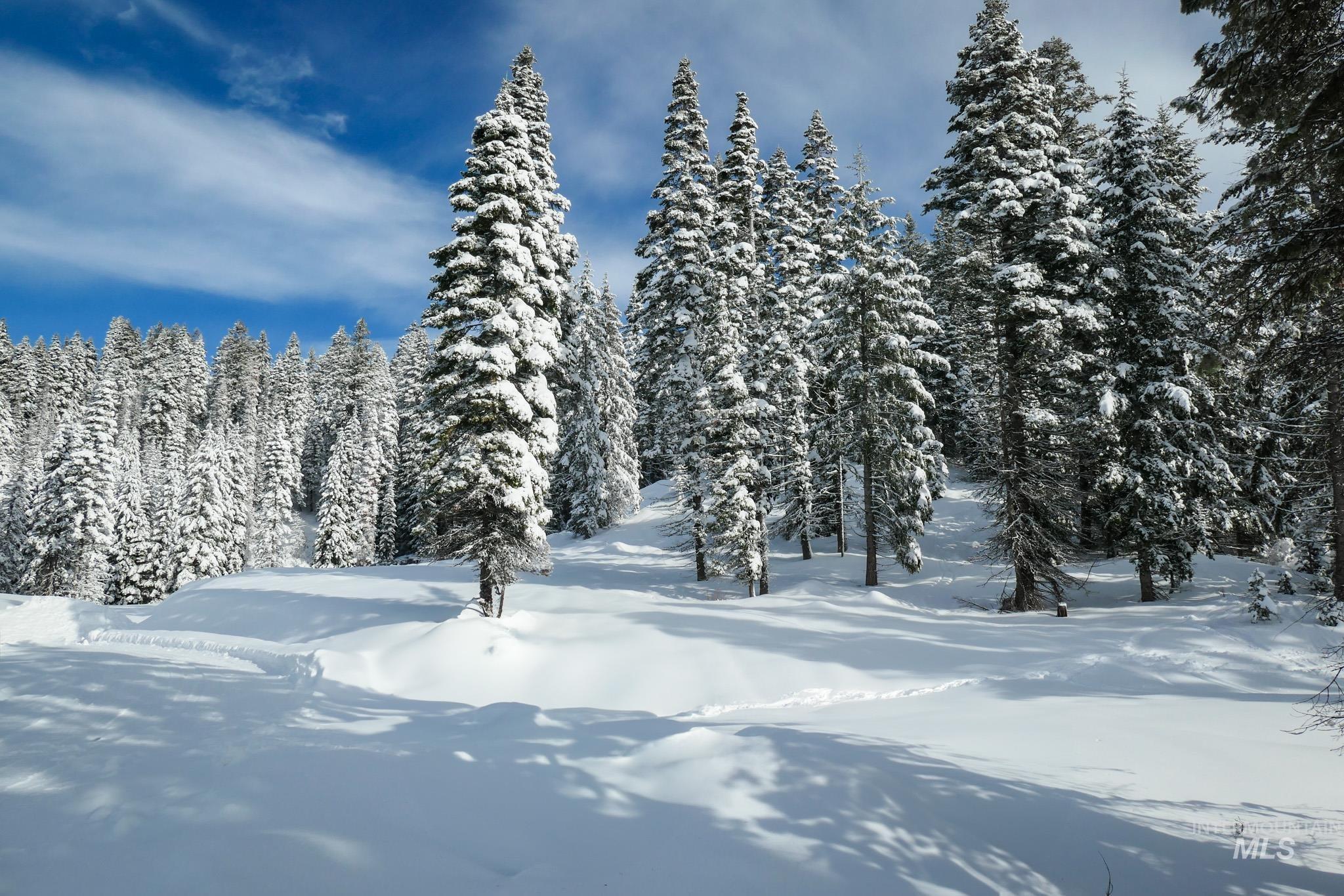 Lot9 TBD North Loop Road