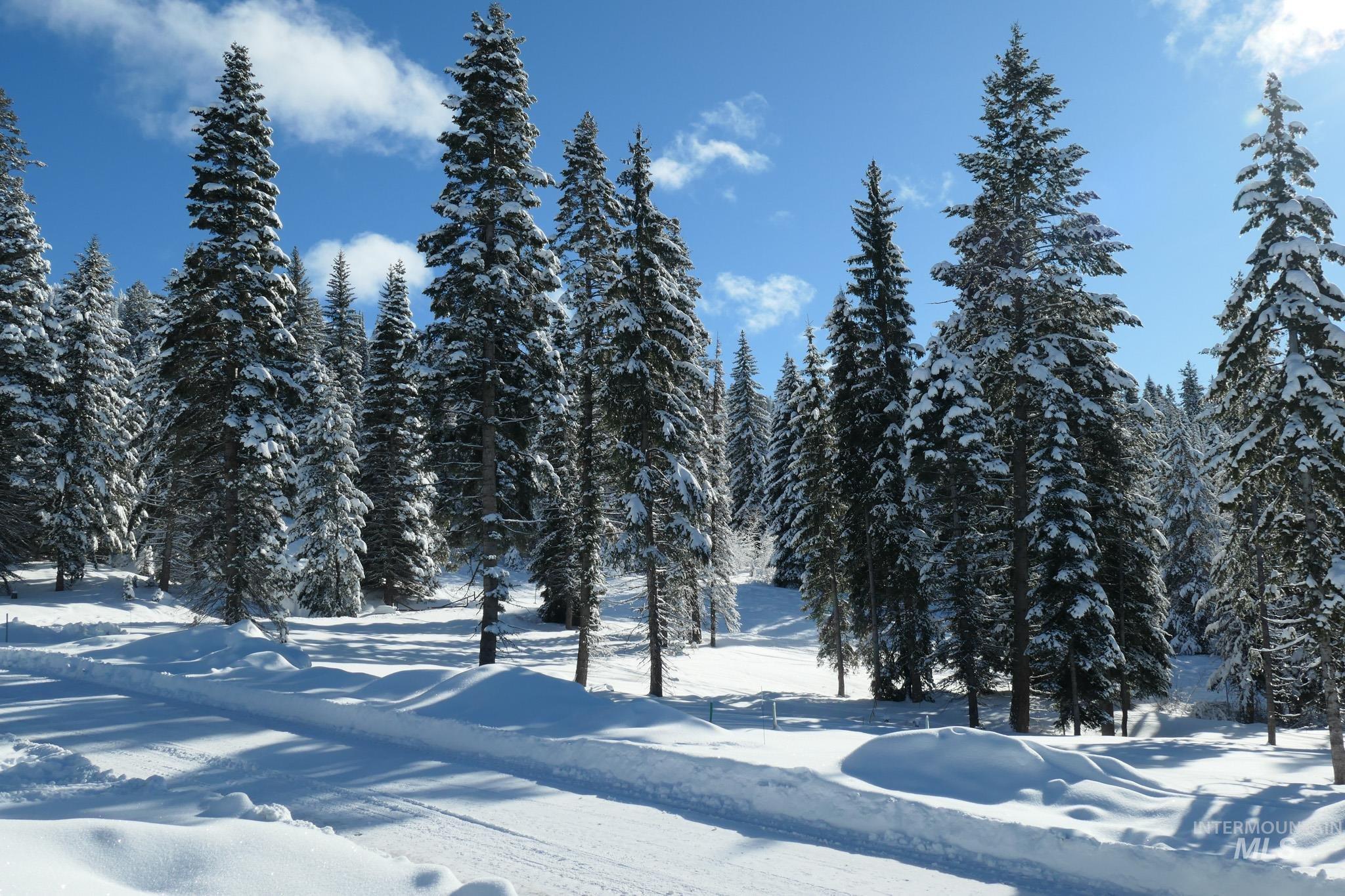 Lot9 TBD North Loop Road