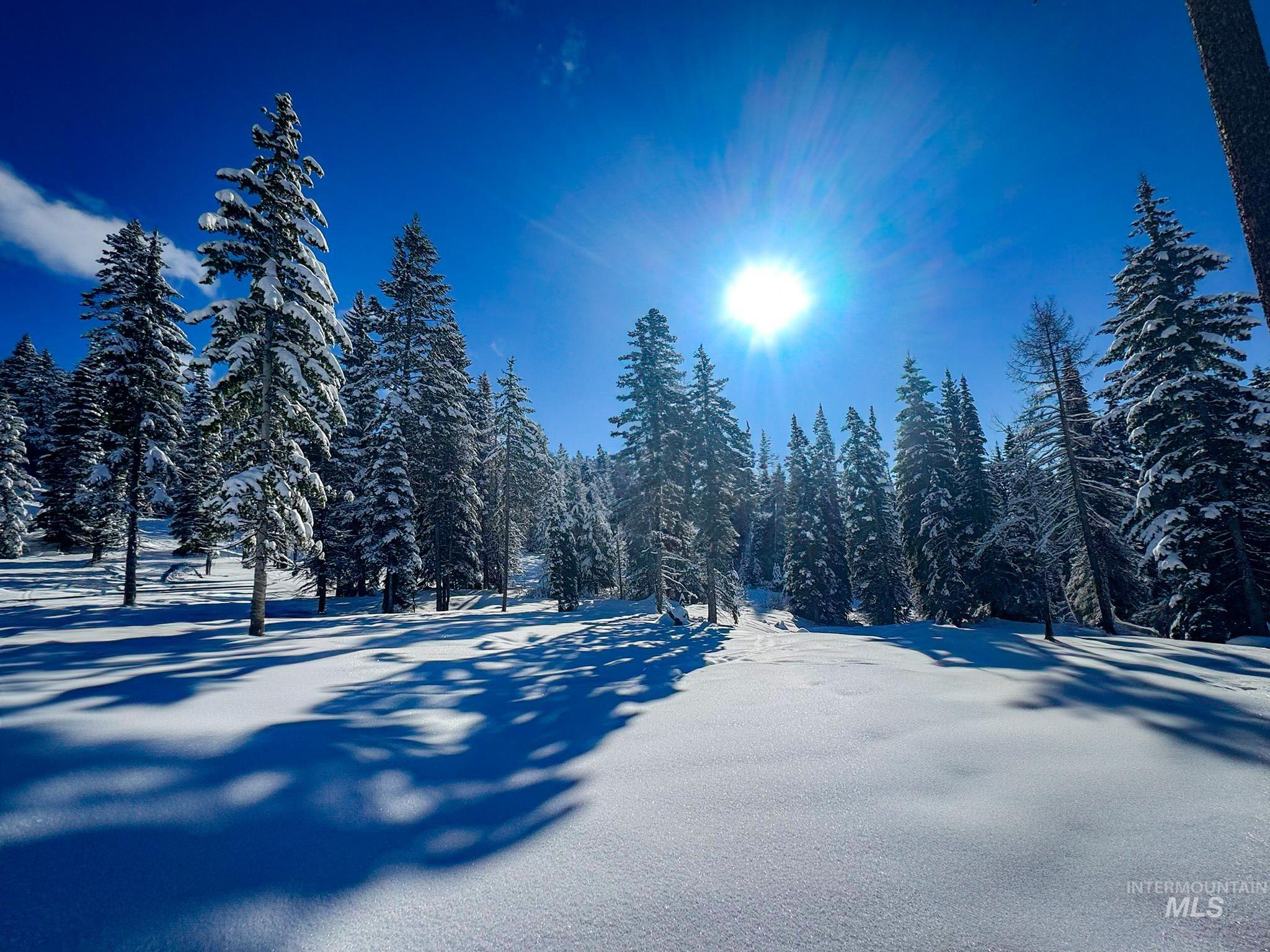 Lot9 TBD North Loop Road