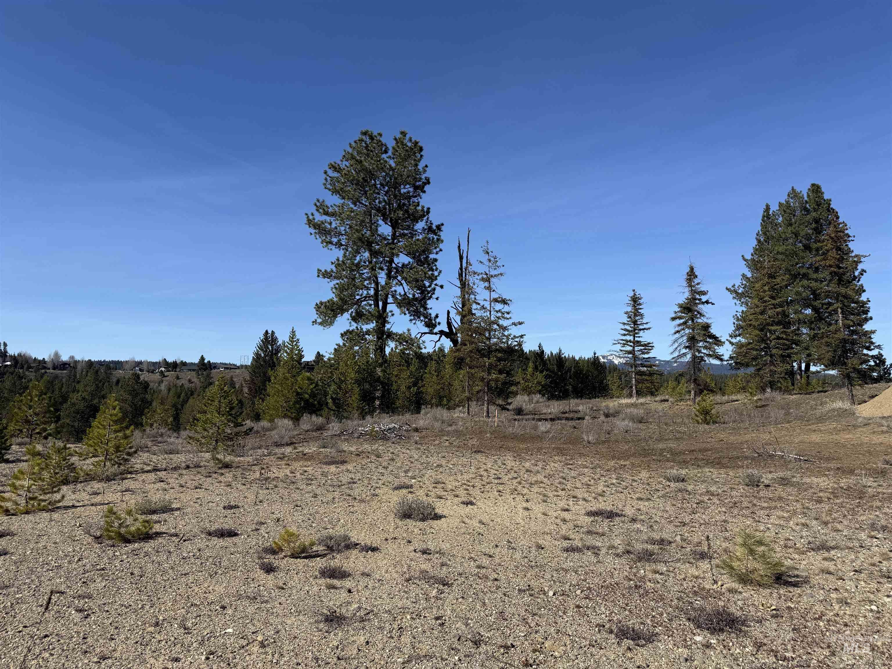 TBD Lot 15 Rawhide Loop