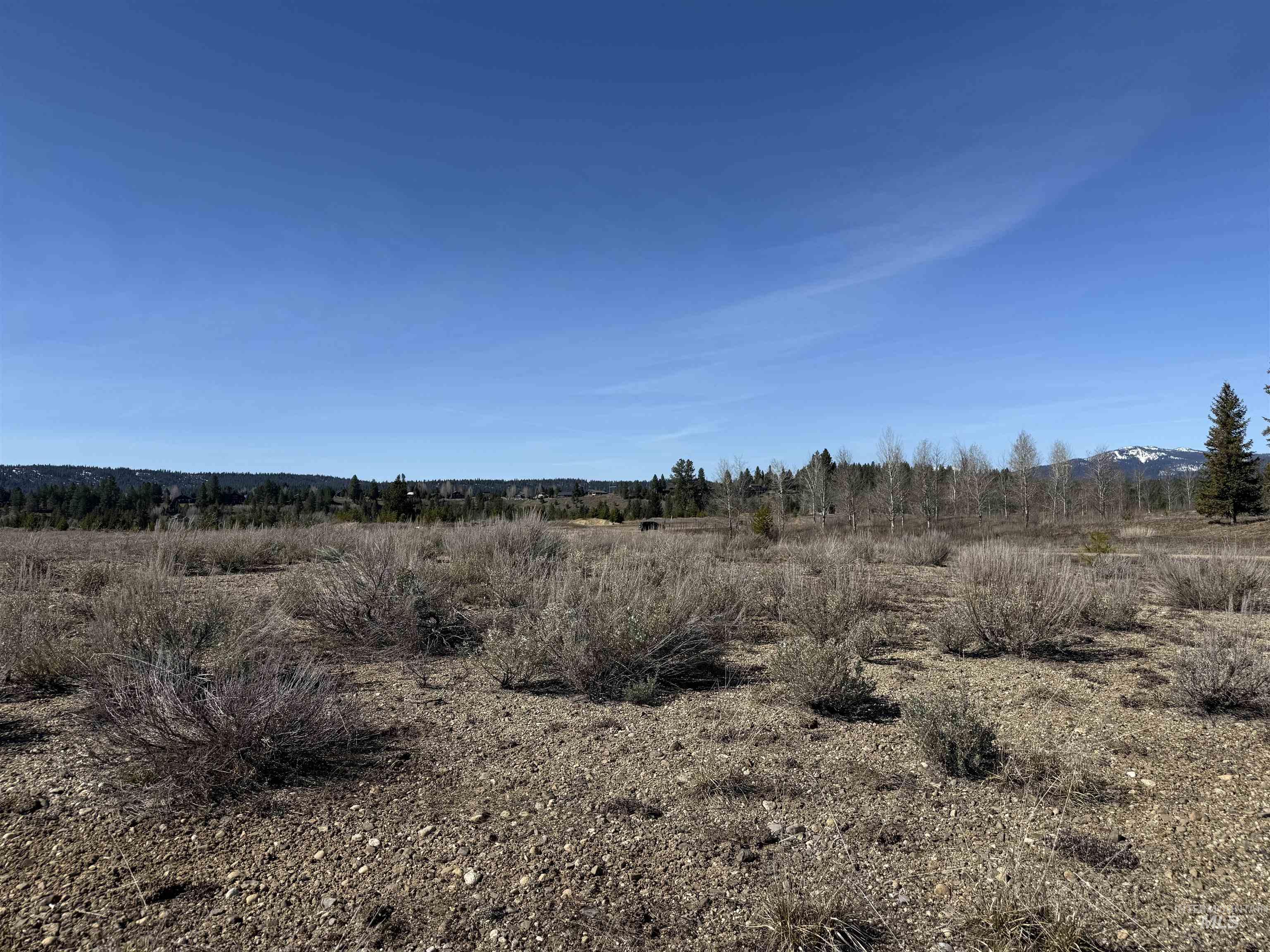 TBD Lot 40 Rawhide Loop