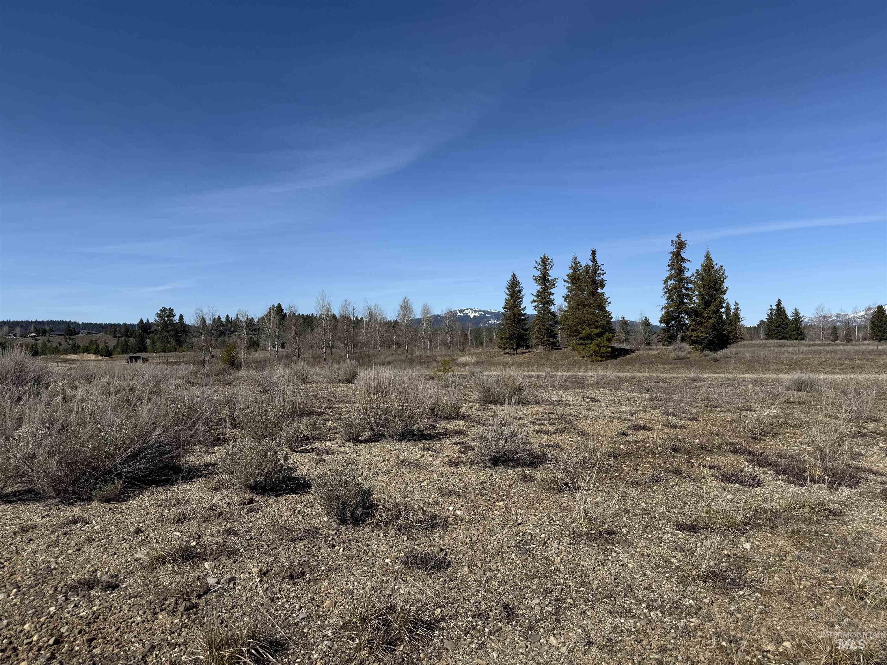 TBD Lot 40 Rawhide Loop