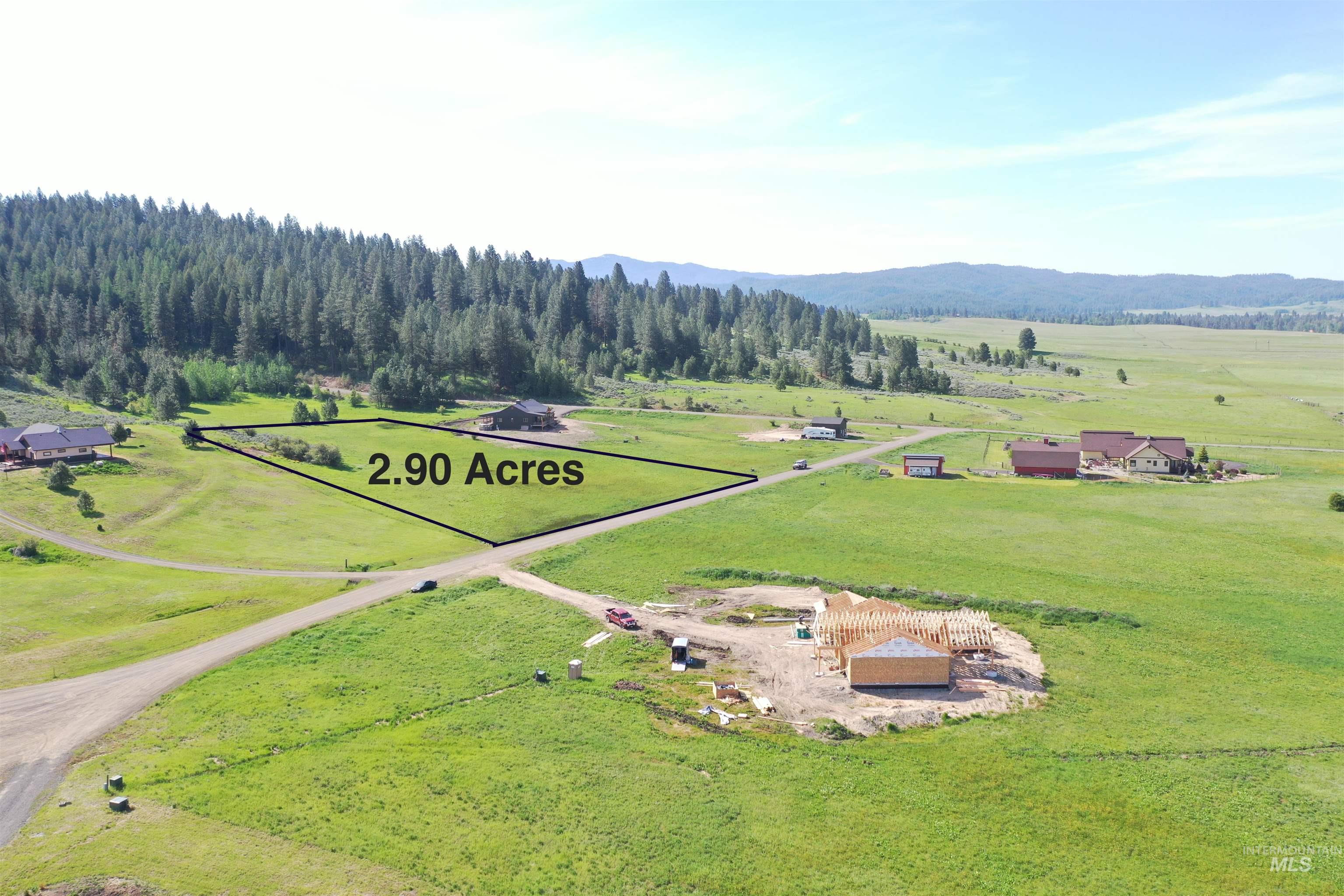 46 Chisum