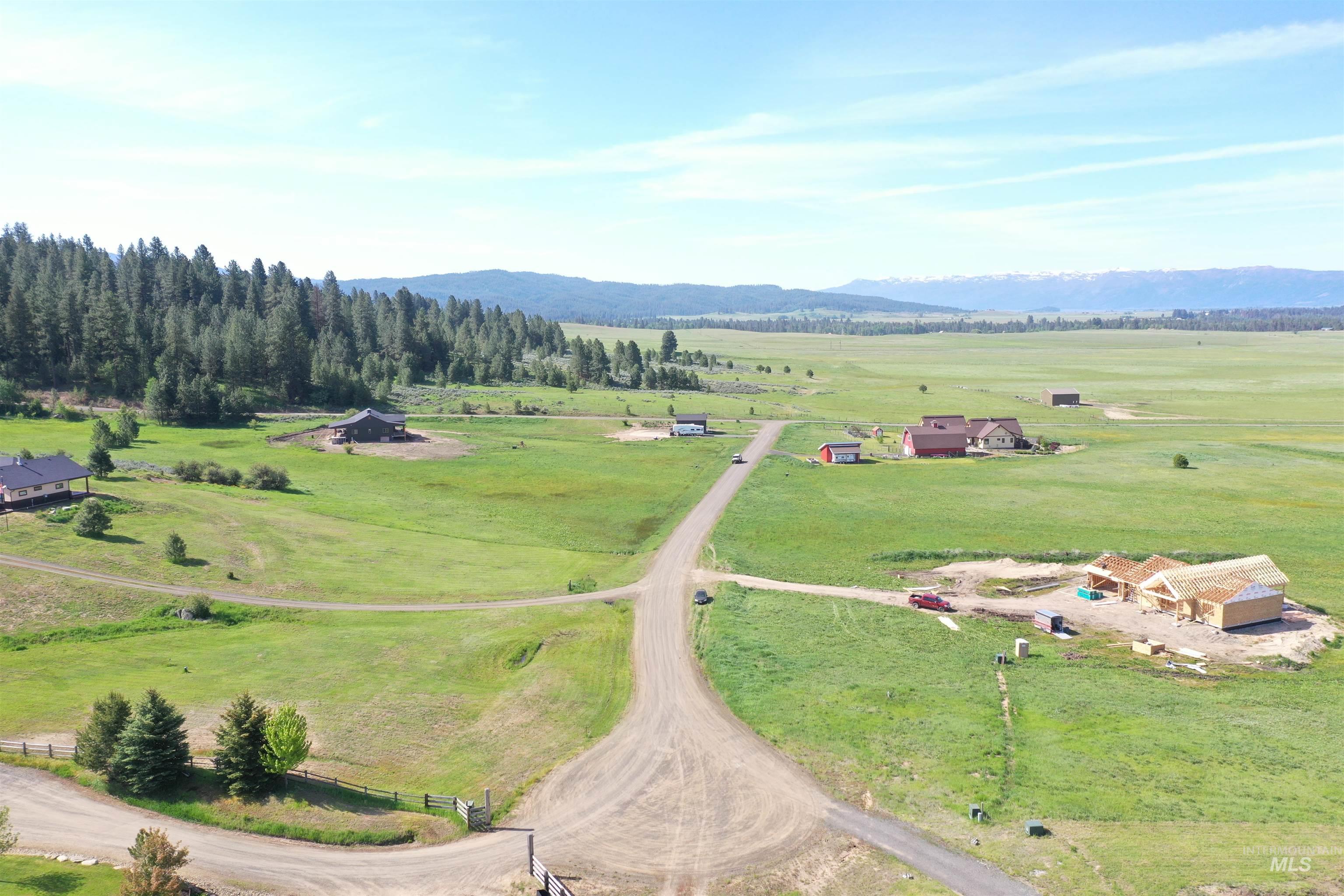 46 Chisum