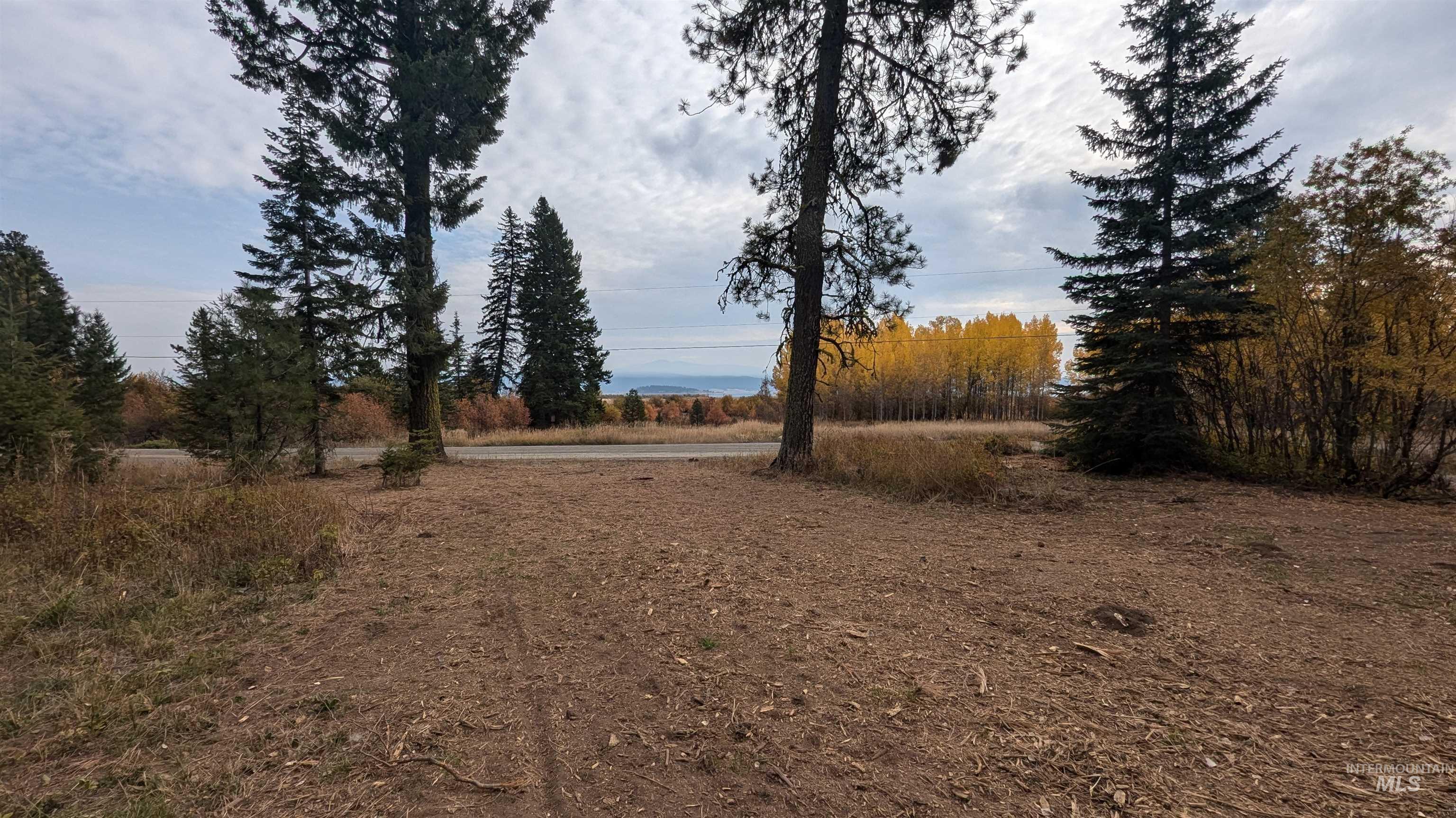 Cleared wooded lot with evergreen trees, golden autumn foliage, and distant water and mountains.