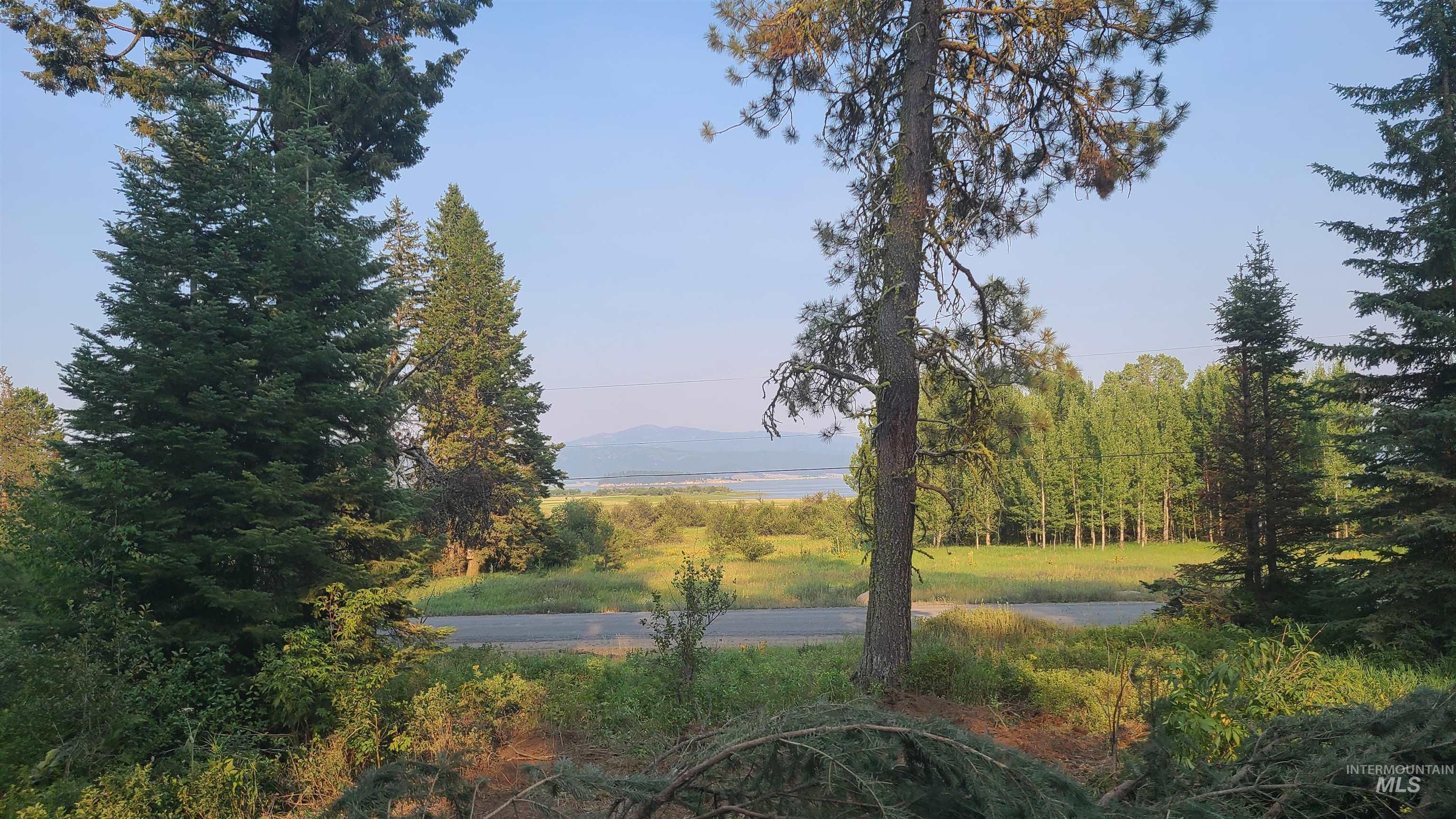 Wooded lot with a clearing and road, overlooking a lake and distant mountains.