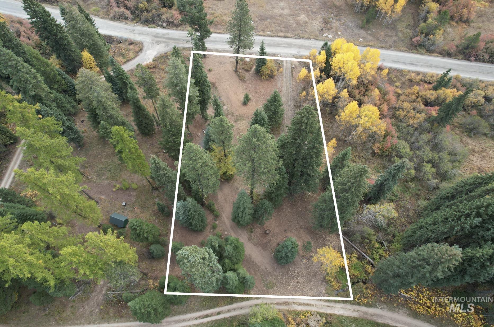 Wooded property lot outlined in white, with a dirt drive and road nearby.