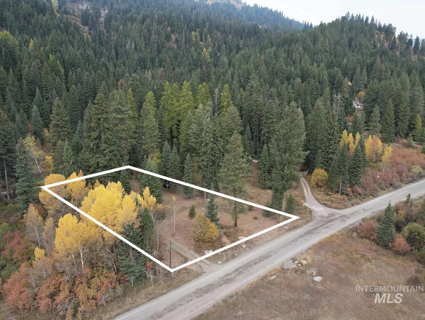 Aerial view of a forested lot outlined beside a rural road, with yellow autumn trees.