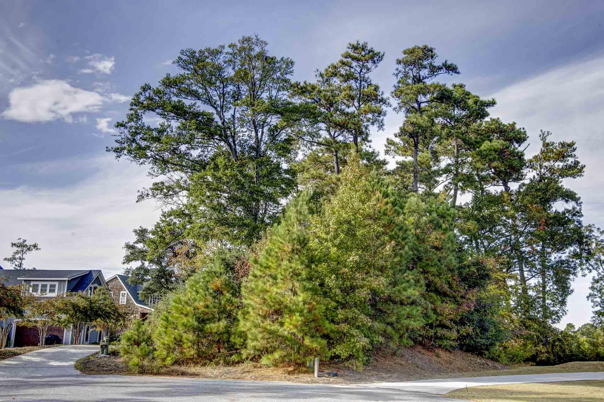 105 Kyle Court lot 3