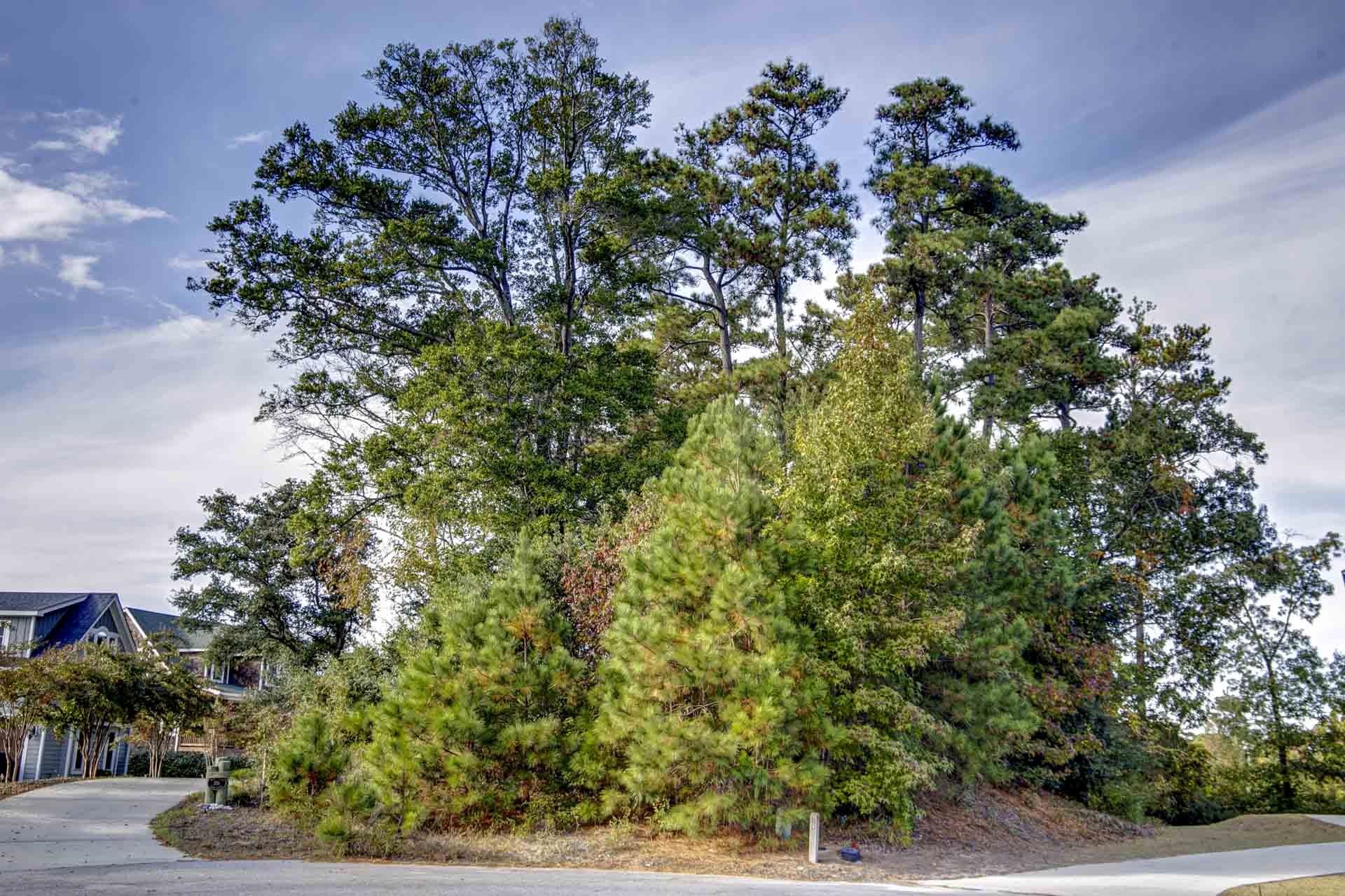 105 Kyle Court lot 3